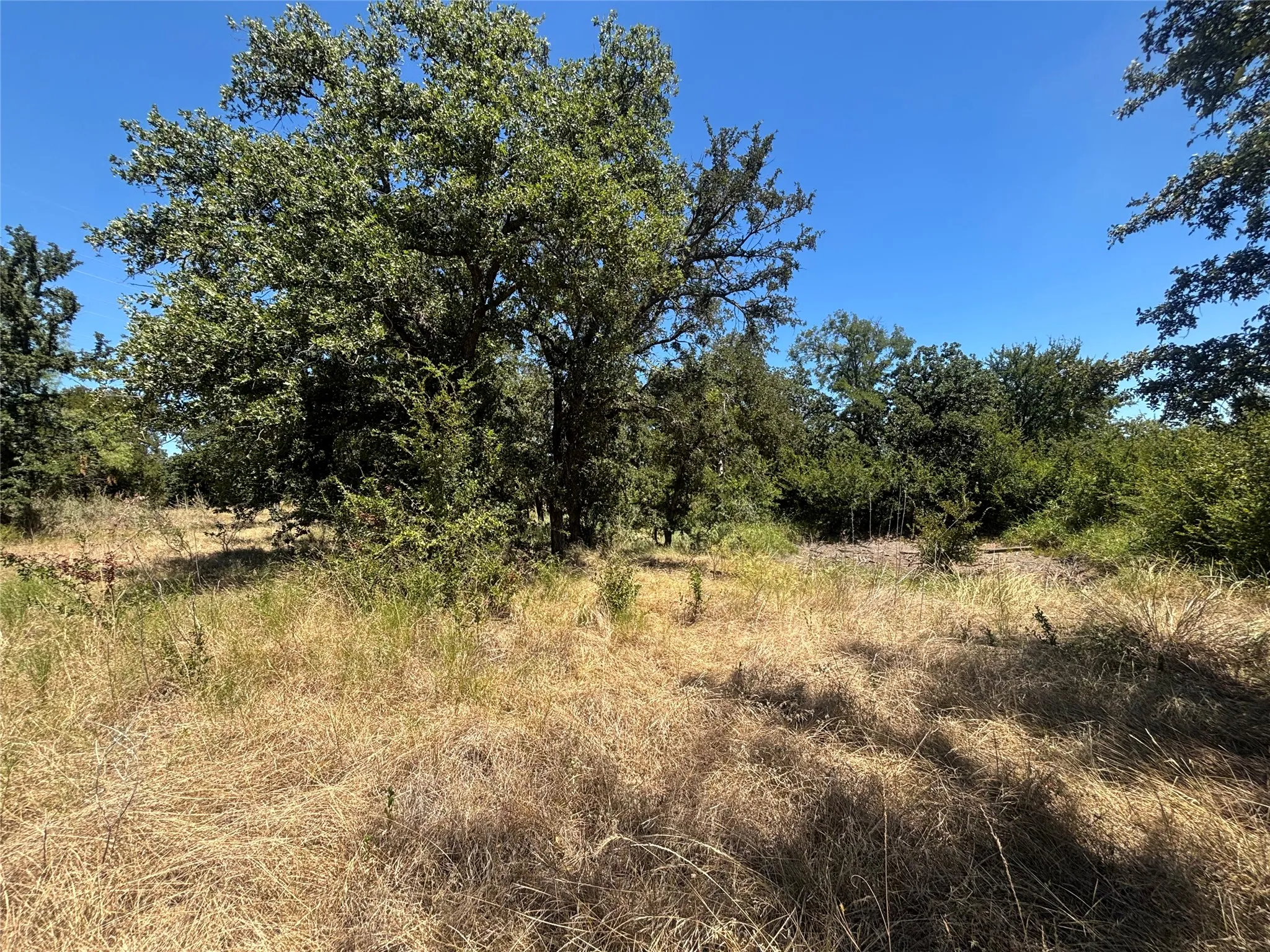 Unimproved Land For Sale in Brown County , 761 County Road 135, Brownwood, Texas 76801, 0, 0, Garage spaces, 0 Sqft, built in 0, mls#21362096, Real Estate Agent in Brownwood, Homes For Sale in Brown county, Homes For Sale in Brownwood, Realtor in Brownwood Texas, Real Estate Brokerage Independent Realty Texas, Luminita Cordes Realtor