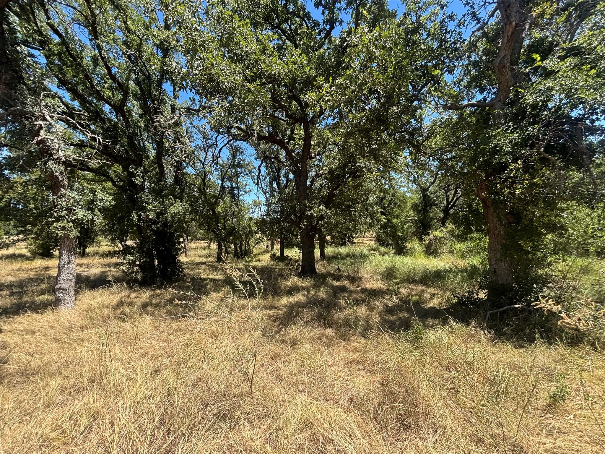 Unimproved Land For Sale in Brown County , 761 County Road 135, Brownwood, Texas 76801, 0, 0, Garage spaces, 0 Sqft, built in 0, mls#21362096, Real Estate Agent in Brownwood, Homes For Sale in Brown county, Homes For Sale in Brownwood, Realtor in Brownwood Texas, Real Estate Brokerage Independent Realty Texas, Luminita Cordes Realtor