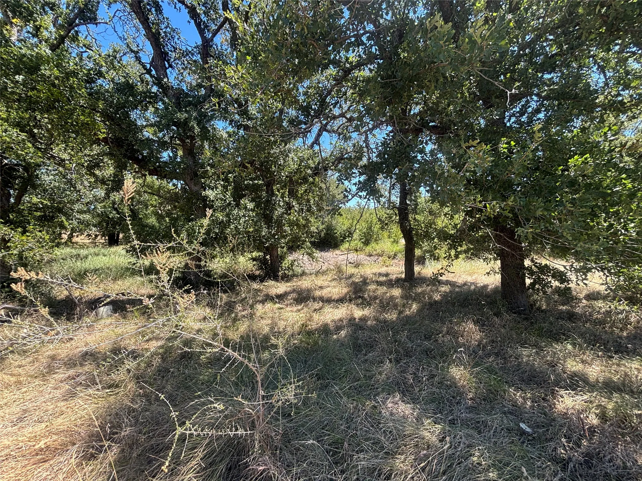 Unimproved Land For Sale in Brown County , 761 County Road 135, Brownwood, Texas 76801, 0, 0, Garage spaces, 0 Sqft, built in 0, mls#21362096, Real Estate Agent in Brownwood, Homes For Sale in Brown county, Homes For Sale in Brownwood, Realtor in Brownwood Texas, Real Estate Brokerage Independent Realty Texas, Luminita Cordes Realtor