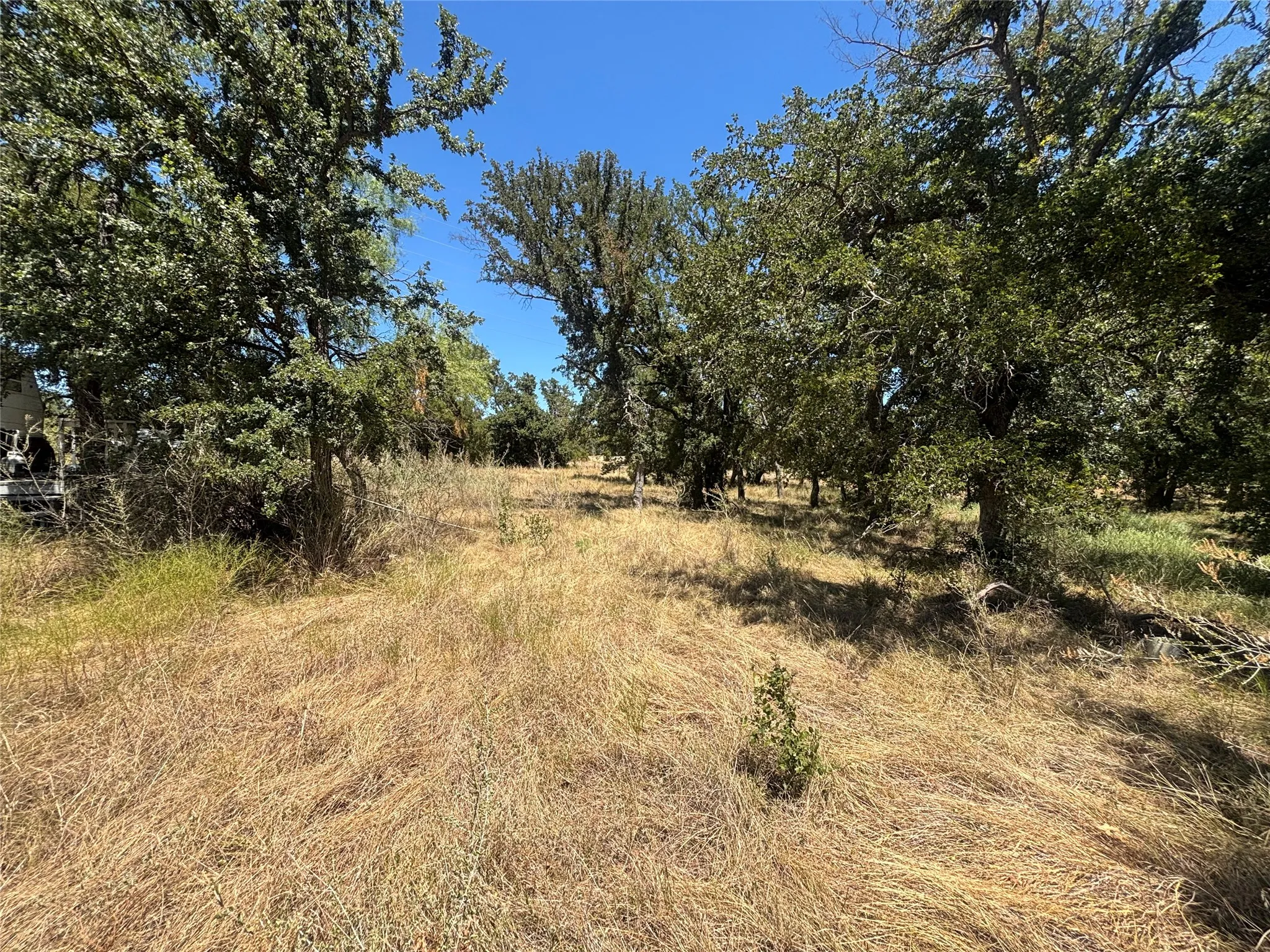 Unimproved Land For Sale in Brown County , 761 County Road 135, Brownwood, Texas 76801, 0, 0, Garage spaces, 0 Sqft, built in 0, mls#21362096, Real Estate Agent in Brownwood, Homes For Sale in Brown county, Homes For Sale in Brownwood, Realtor in Brownwood Texas, Real Estate Brokerage Independent Realty Texas, Luminita Cordes Realtor