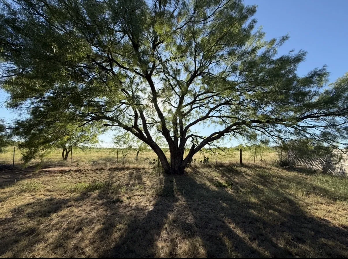 Single Family Residence For Sale in Taylor County , 7710 US Highway 84, Lawn, Texas 79530, 3 Bedroom, 2 Bathroom, Garage spaces, 1,680 Sqft, built in 1983, mls#21362071, Real Estate Agent in Lawn, Homes For Sale in Taylor county, Homes For Sale in Lawn, Realtor in Lawn Texas, Real Estate Brokerage Independent Realty Texas, Luminita Cordes Realtor