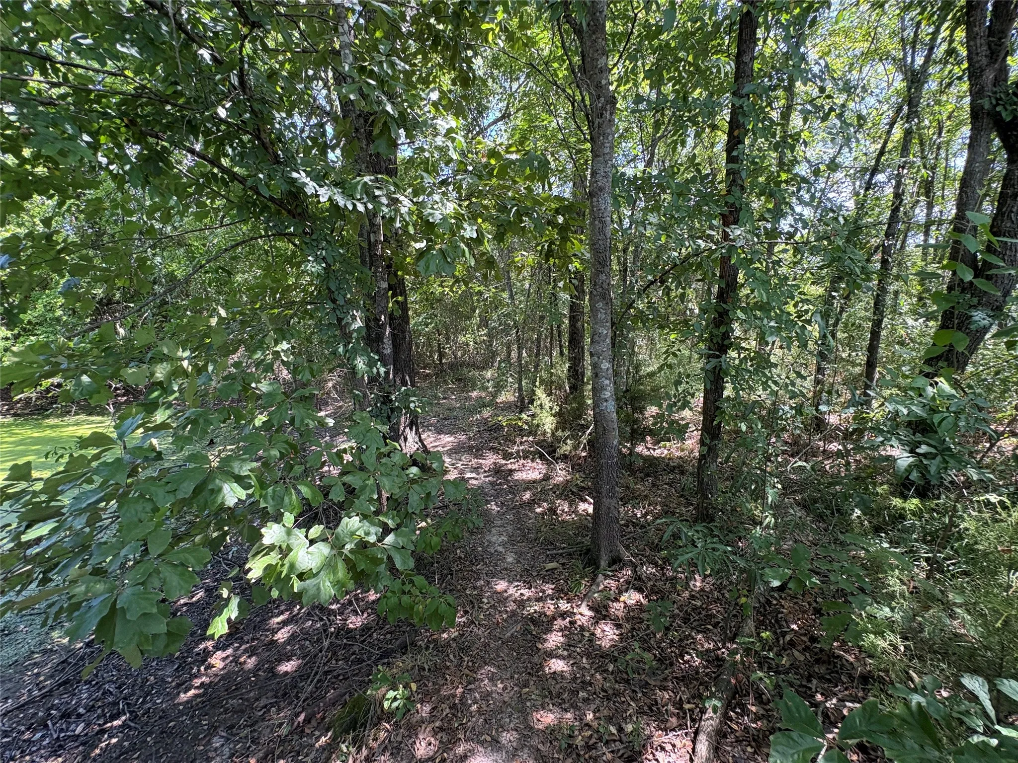 Manufactured Home For Sale in Hopkins County , 3056 County Road 2436, Sulphur Springs, Texas 75482, 3 Bedroom, 2 Bathroom, Garage spaces, 1,856 Sqft, built in 2001, Price $217,500, mls#21346103, Real Estate Agent in Sulphur Springs, Homes For Sale in Hopkins county, Homes For Sale in Sulphur Springs, Realtor in Sulphur Springs Texas, Real Estate Brokerage Independent Realty Texas, Luminita Cordes Realtor