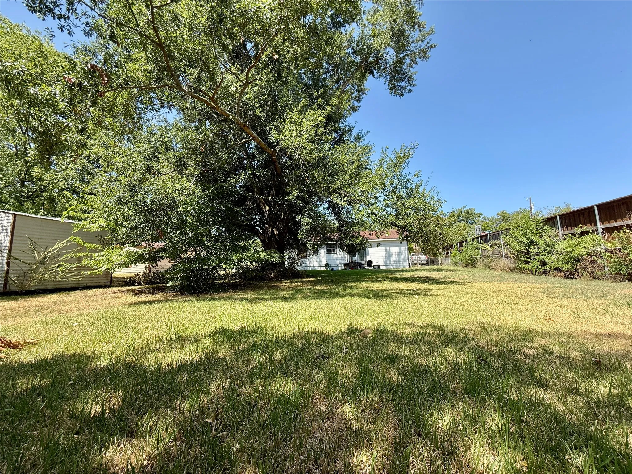 Expansive grassy yard with mature trees and a privacy fence