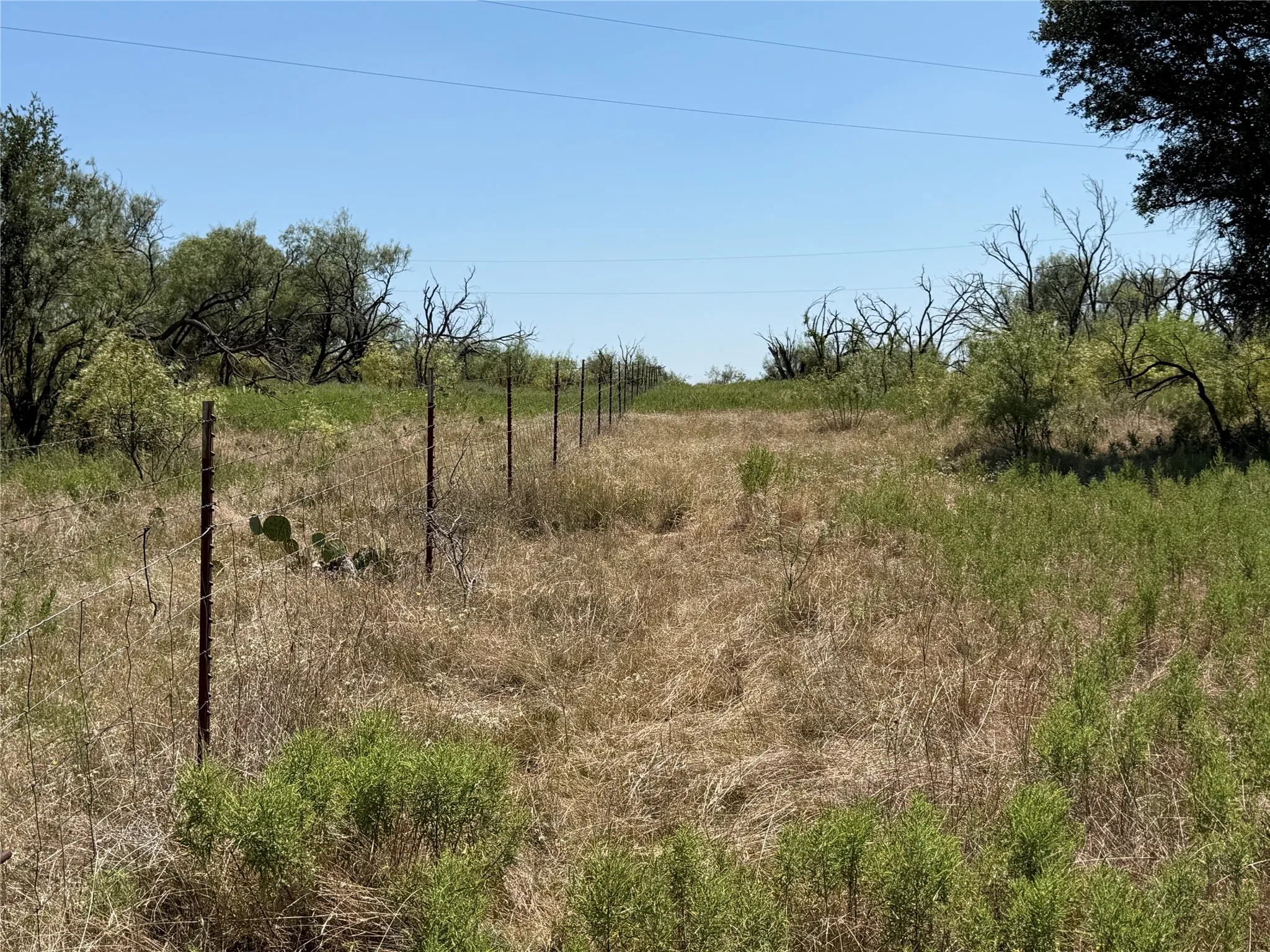 East Fence Line