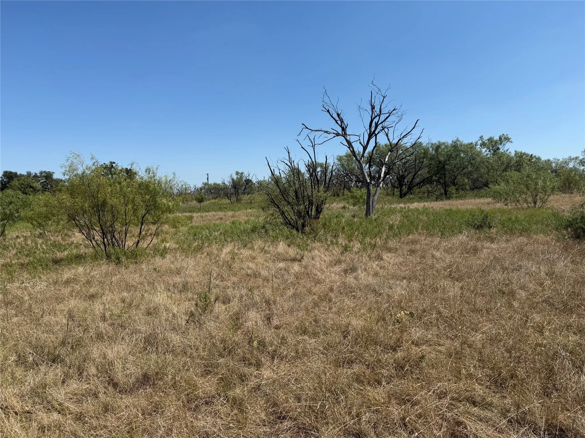 Improved Land For Sale in Eastland County , 501 County Road 376, Cisco, Texas 76437, 0, 0, Garage spaces, 0 Sqft, built in 0, mls#21361226, Real Estate Agent in Cisco, Homes For Sale in Eastland county, Homes For Sale in Cisco, Realtor in Cisco Texas, Real Estate Brokerage Independent Realty Texas, Luminita Cordes Realtor