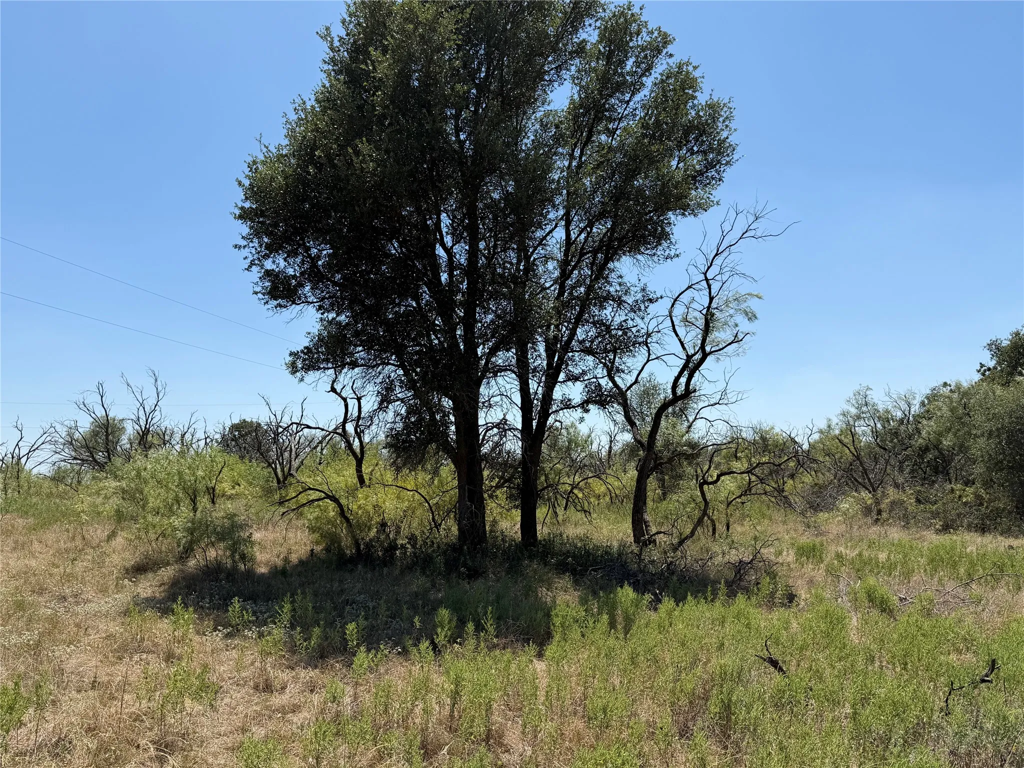 Improved Land For Sale in Eastland County , 501 County Road 376, Cisco, Texas 76437, 0, 0, Garage spaces, 0 Sqft, built in 0, mls#21361226, Real Estate Agent in Cisco, Homes For Sale in Eastland county, Homes For Sale in Cisco, Realtor in Cisco Texas, Real Estate Brokerage Independent Realty Texas, Luminita Cordes Realtor