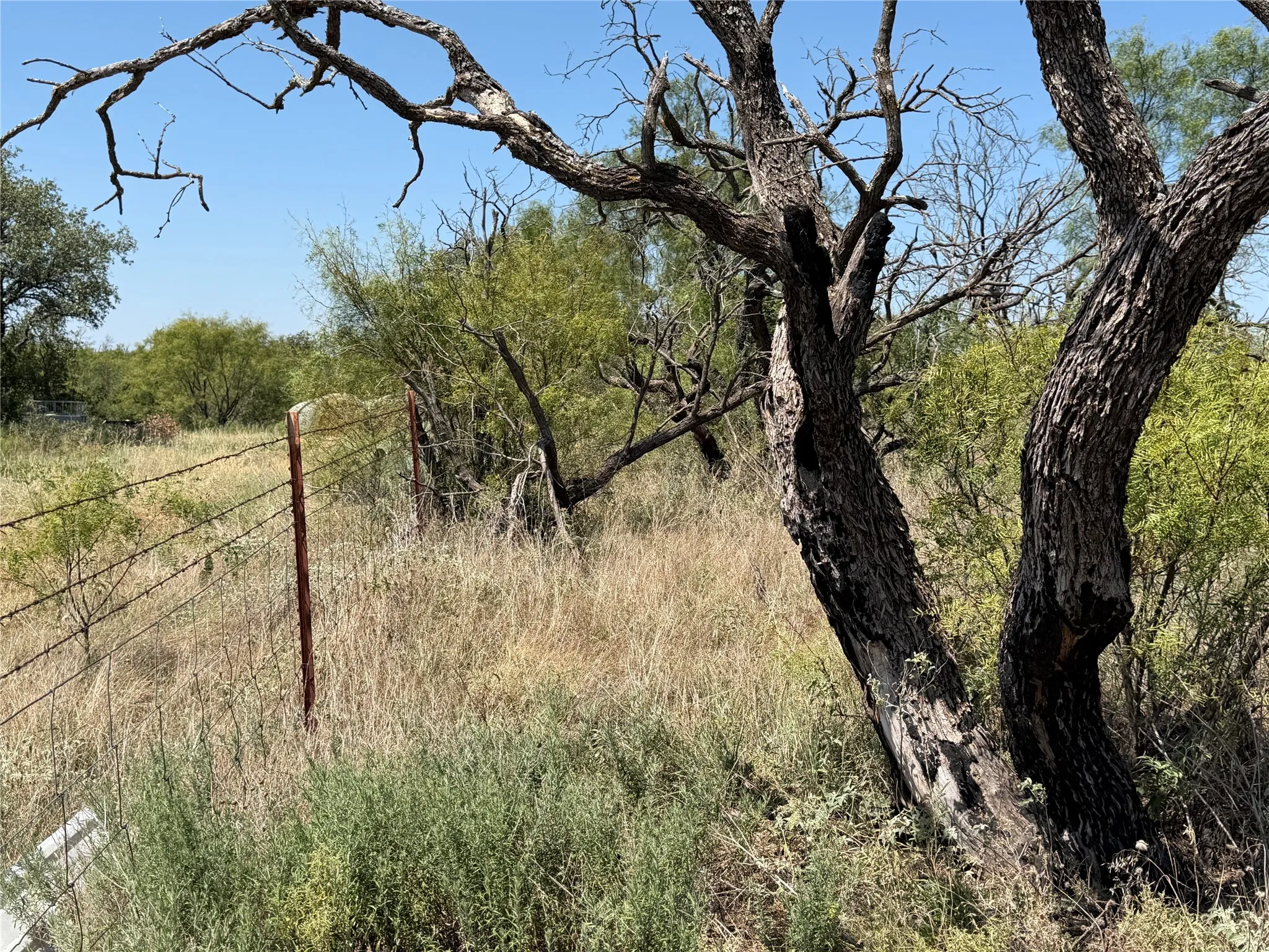 West Fence Line