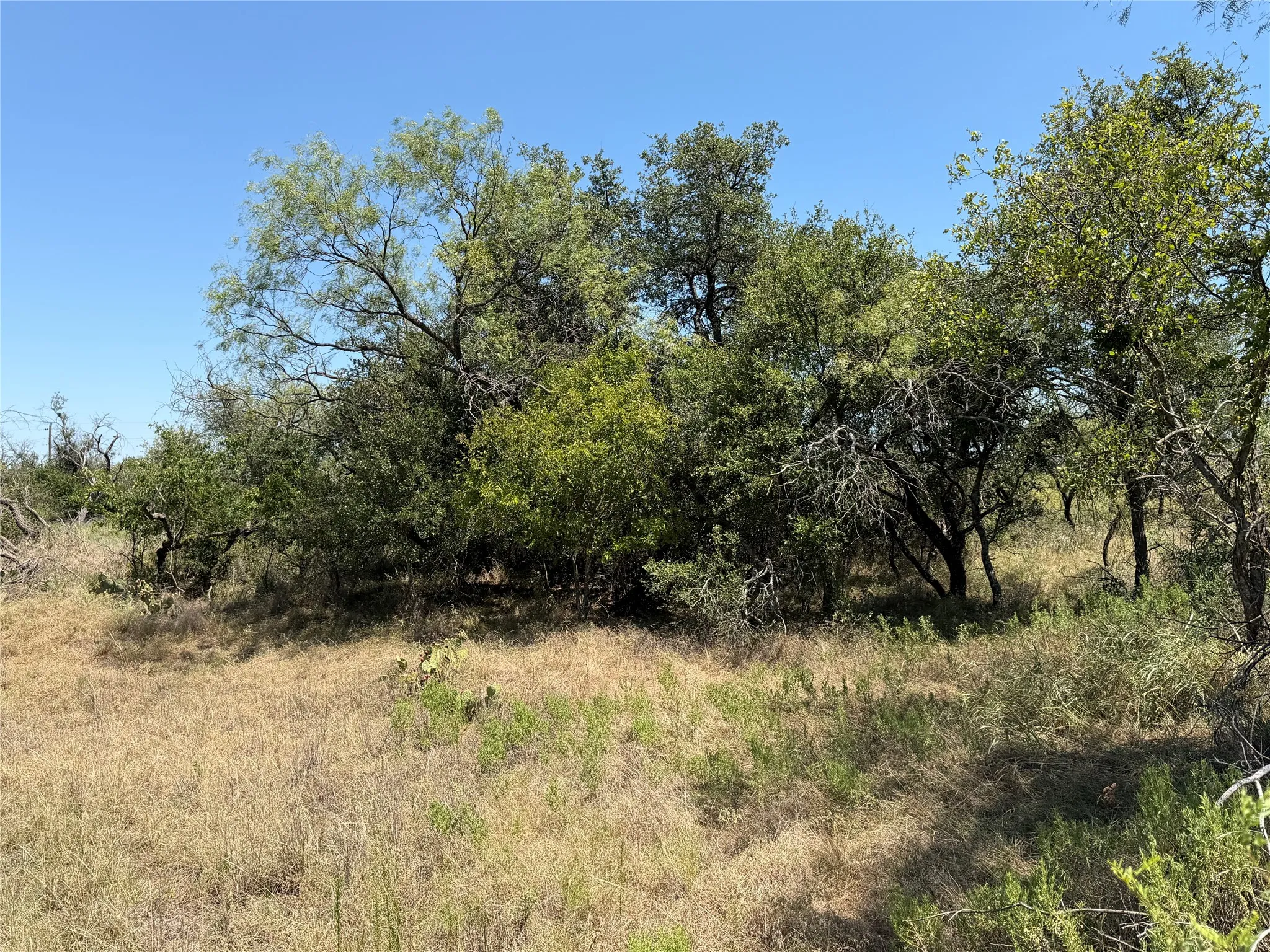 Improved Land For Sale in Eastland County , 501 County Road 376, Cisco, Texas 76437, 0, 0, Garage spaces, 0 Sqft, built in 0, mls#21361226, Real Estate Agent in Cisco, Homes For Sale in Eastland county, Homes For Sale in Cisco, Realtor in Cisco Texas, Real Estate Brokerage Independent Realty Texas, Luminita Cordes Realtor
