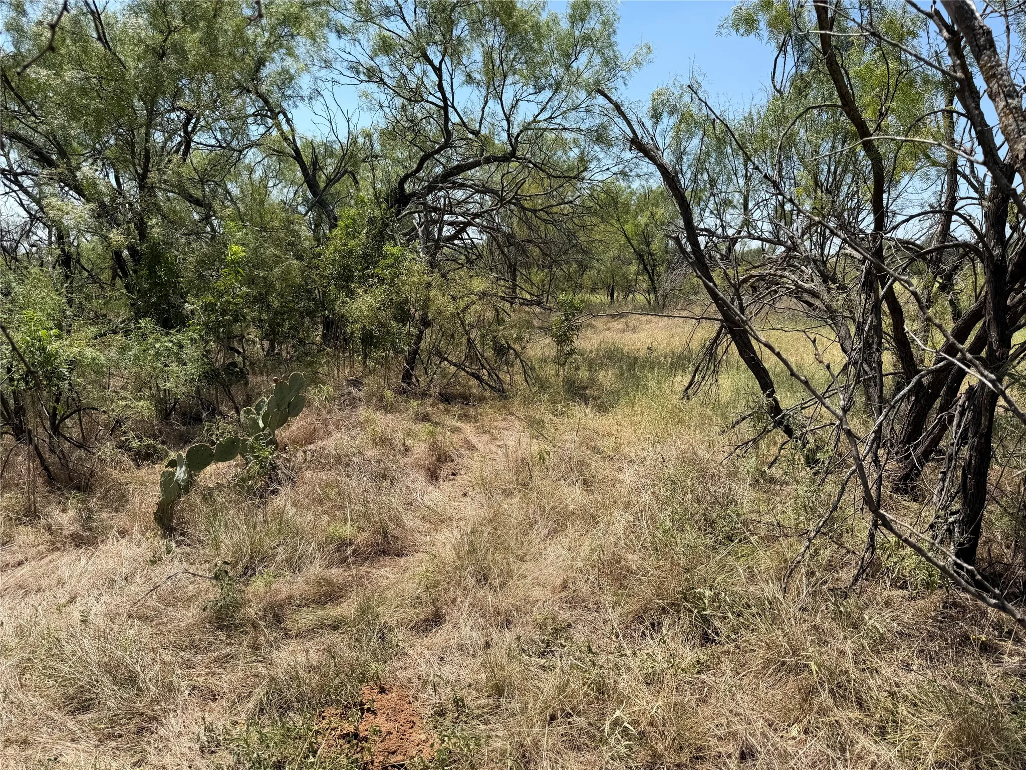 Improved Land For Sale in Eastland County , 501 County Road 376, Cisco, Texas 76437, 0, 0, Garage spaces, 0 Sqft, built in 0, mls#21361226, Real Estate Agent in Cisco, Homes For Sale in Eastland county, Homes For Sale in Cisco, Realtor in Cisco Texas, Real Estate Brokerage Independent Realty Texas, Luminita Cordes Realtor