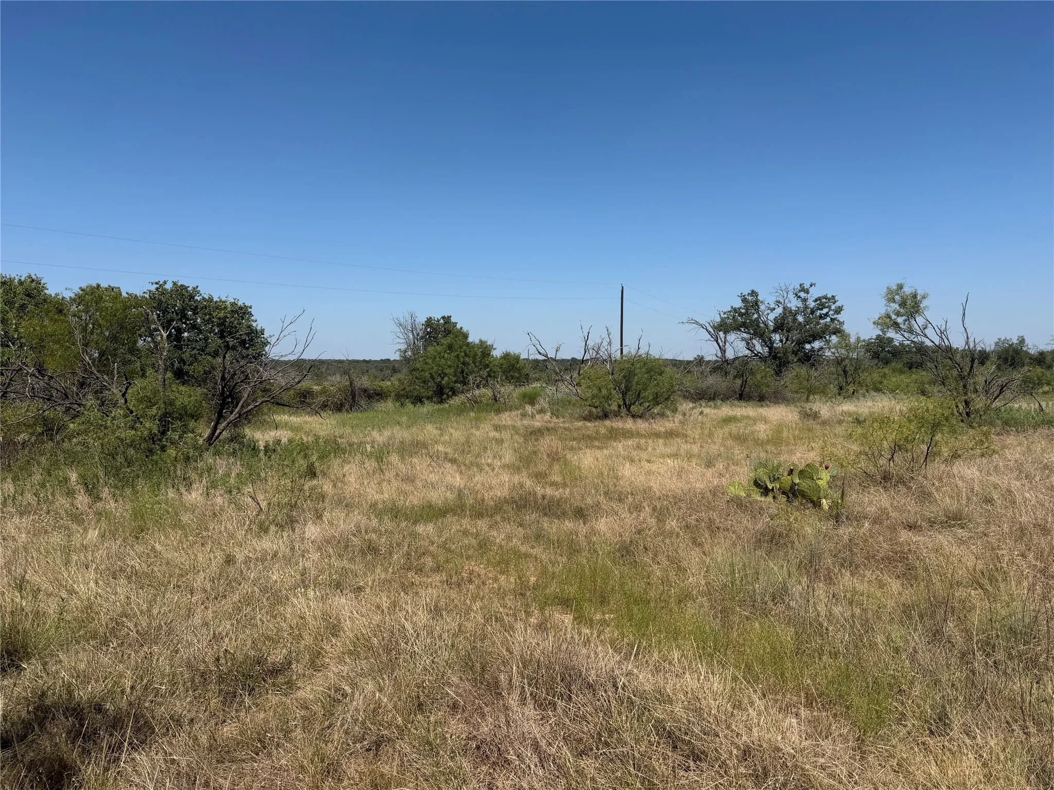 Improved Land For Sale in Eastland County , 501 County Road 376, Cisco, Texas 76437, 0, 0, Garage spaces, 0 Sqft, built in 0, mls#21361226, Real Estate Agent in Cisco, Homes For Sale in Eastland county, Homes For Sale in Cisco, Realtor in Cisco Texas, Real Estate Brokerage Independent Realty Texas, Luminita Cordes Realtor