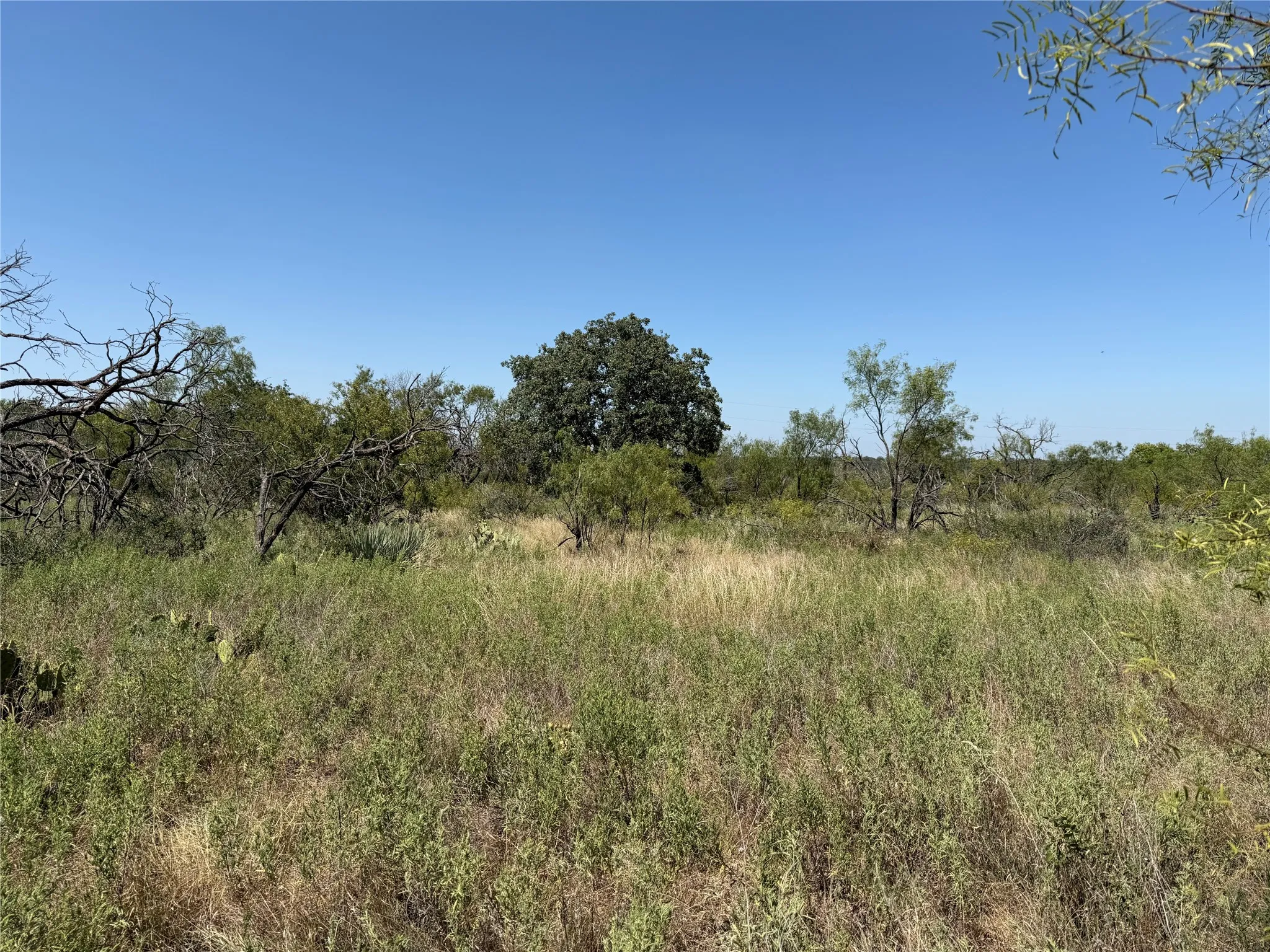 Improved Land For Sale in Eastland County , 501 County Road 376, Cisco, Texas 76437, 0, 0, Garage spaces, 0 Sqft, built in 0, mls#21361226, Real Estate Agent in Cisco, Homes For Sale in Eastland county, Homes For Sale in Cisco, Realtor in Cisco Texas, Real Estate Brokerage Independent Realty Texas, Luminita Cordes Realtor