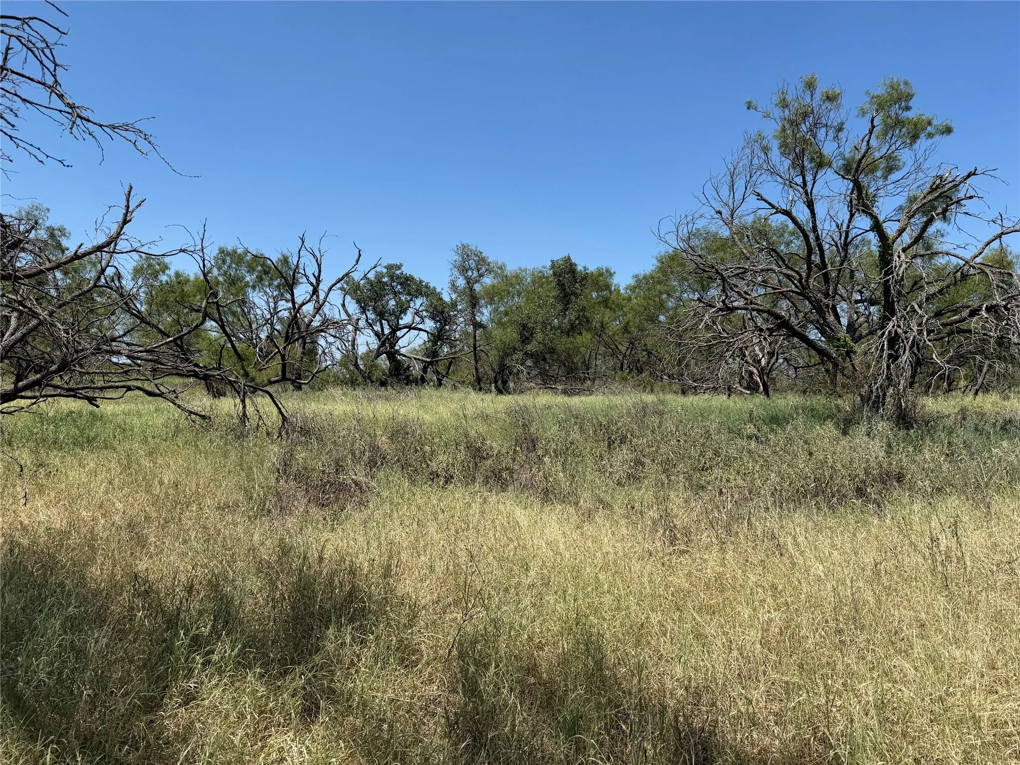 Improved Land For Sale in Eastland County , 501 County Road 376, Cisco, Texas 76437, 0, 0, Garage spaces, 0 Sqft, built in 0, mls#21361226, Real Estate Agent in Cisco, Homes For Sale in Eastland county, Homes For Sale in Cisco, Realtor in Cisco Texas, Real Estate Brokerage Independent Realty Texas, Luminita Cordes Realtor
