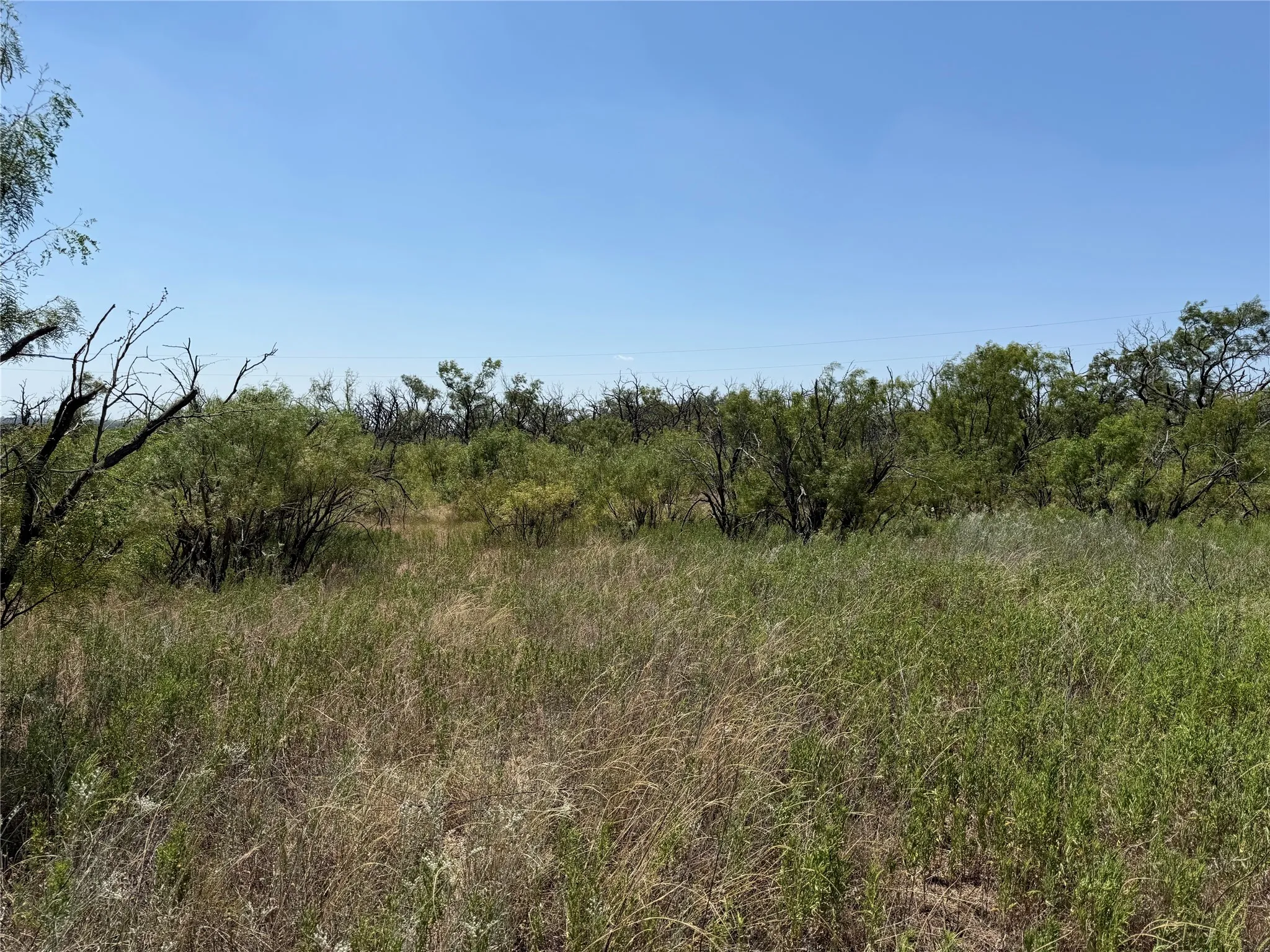 Improved Land For Sale in Eastland County , 501 County Road 376, Cisco, Texas 76437, 0, 0, Garage spaces, 0 Sqft, built in 0, mls#21361226, Real Estate Agent in Cisco, Homes For Sale in Eastland county, Homes For Sale in Cisco, Realtor in Cisco Texas, Real Estate Brokerage Independent Realty Texas, Luminita Cordes Realtor
