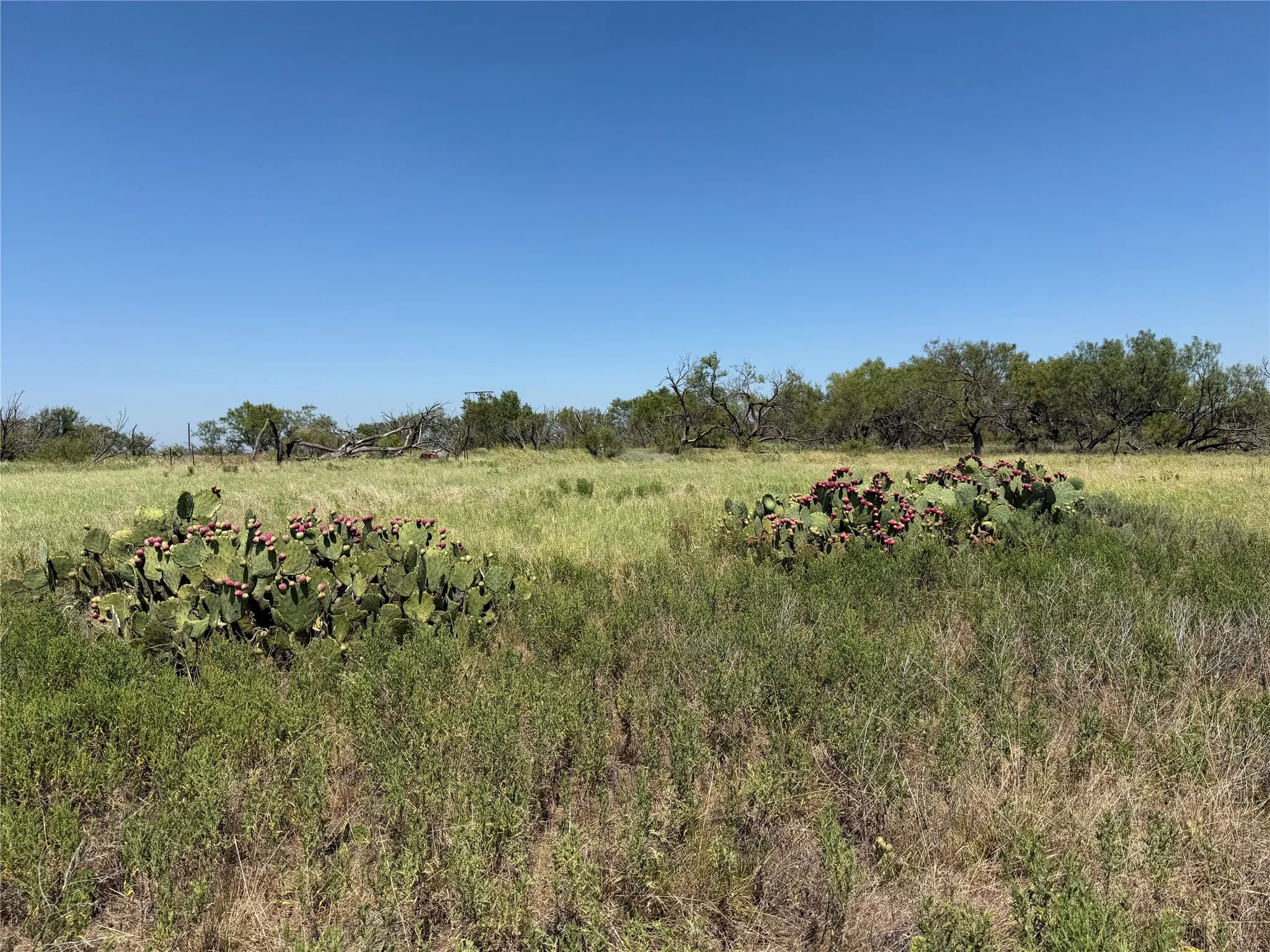 Improved Land For Sale in Eastland County , 501 County Road 376, Cisco, Texas 76437, 0, 0, Garage spaces, 0 Sqft, built in 0, mls#21361226, Real Estate Agent in Cisco, Homes For Sale in Eastland county, Homes For Sale in Cisco, Realtor in Cisco Texas, Real Estate Brokerage Independent Realty Texas, Luminita Cordes Realtor