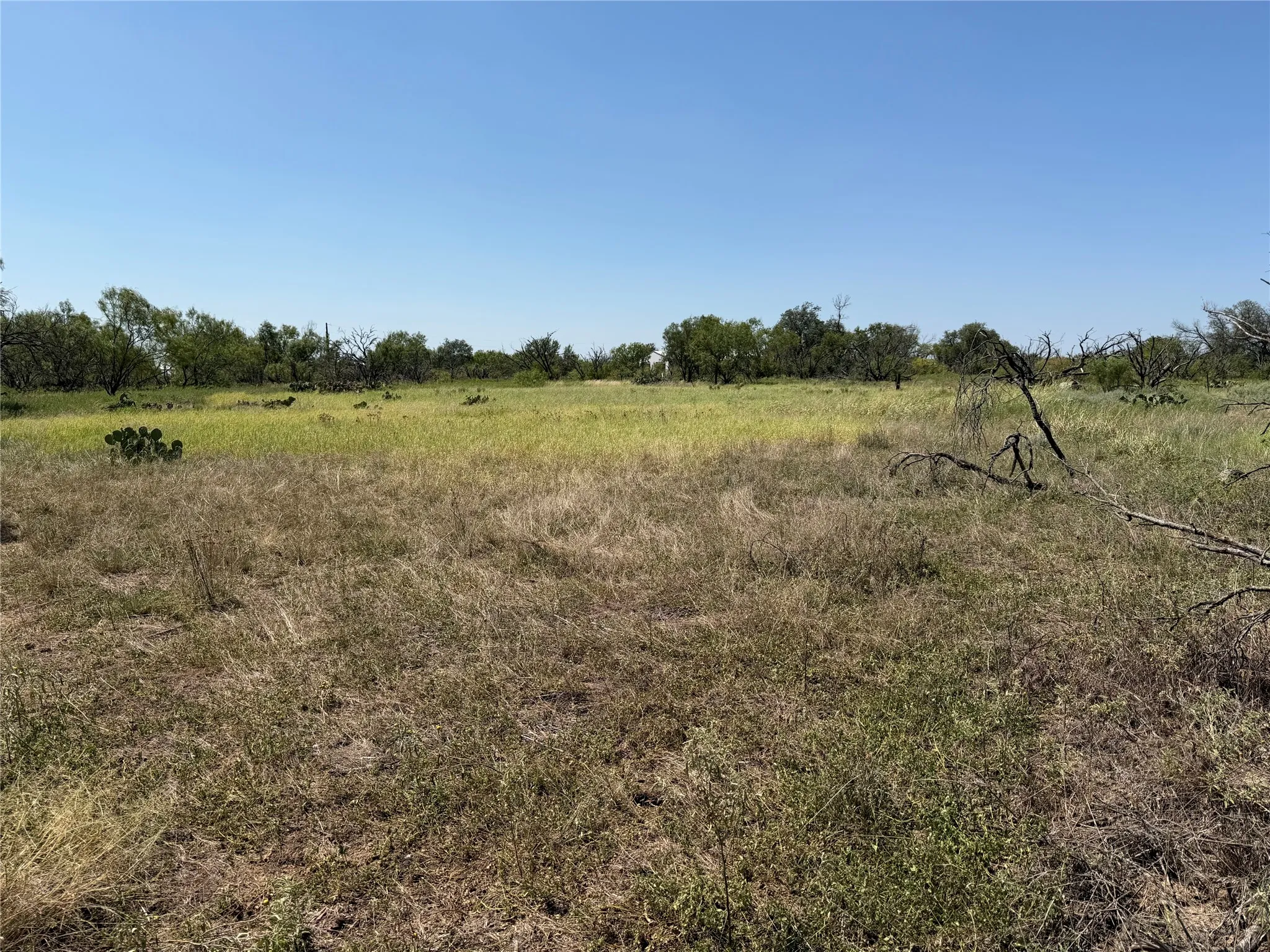 Improved Land For Sale in Eastland County , 501 County Road 376, Cisco, Texas 76437, 0, 0, Garage spaces, 0 Sqft, built in 0, mls#21361226, Real Estate Agent in Cisco, Homes For Sale in Eastland county, Homes For Sale in Cisco, Realtor in Cisco Texas, Real Estate Brokerage Independent Realty Texas, Luminita Cordes Realtor