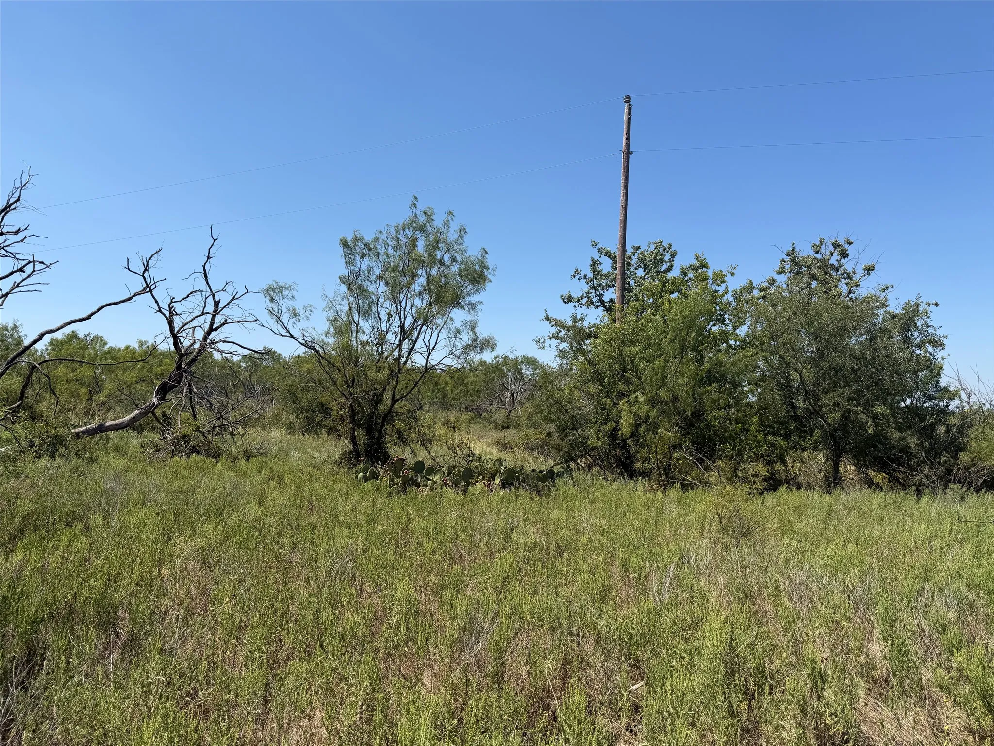 Improved Land For Sale in Eastland County , 501 County Road 376, Cisco, Texas 76437, 0, 0, Garage spaces, 0 Sqft, built in 0, mls#21361226, Real Estate Agent in Cisco, Homes For Sale in Eastland county, Homes For Sale in Cisco, Realtor in Cisco Texas, Real Estate Brokerage Independent Realty Texas, Luminita Cordes Realtor