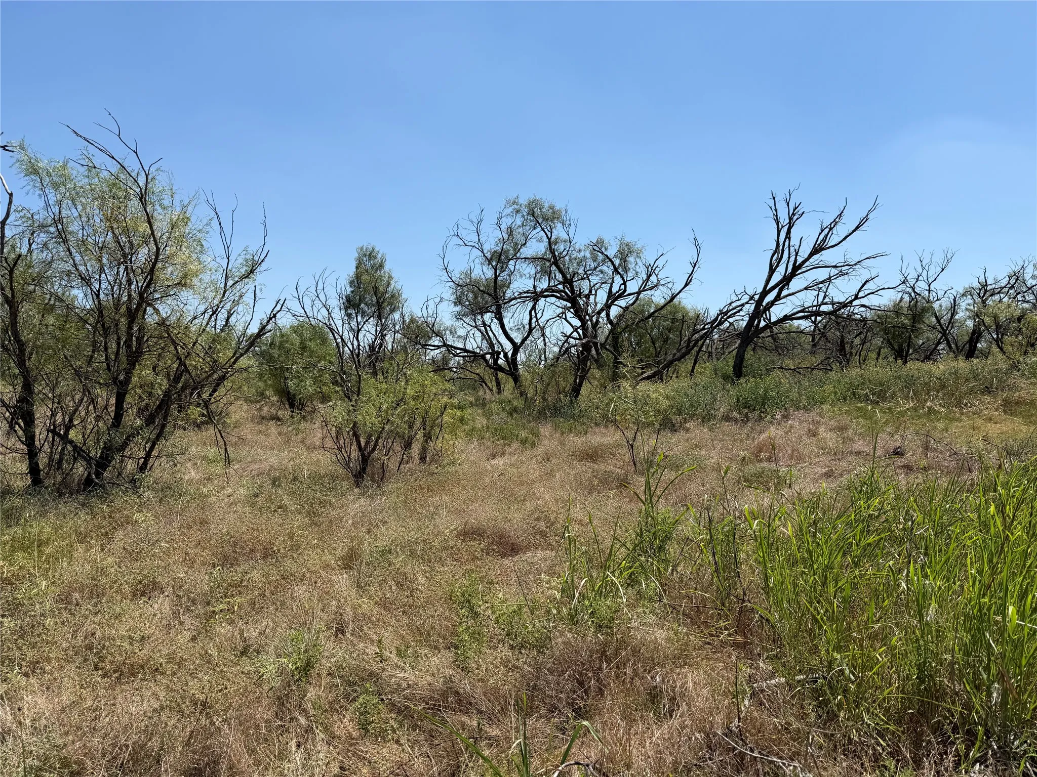Improved Land For Sale in Eastland County , 501 County Road 376, Cisco, Texas 76437, 0, 0, Garage spaces, 0 Sqft, built in 0, mls#21361226, Real Estate Agent in Cisco, Homes For Sale in Eastland county, Homes For Sale in Cisco, Realtor in Cisco Texas, Real Estate Brokerage Independent Realty Texas, Luminita Cordes Realtor