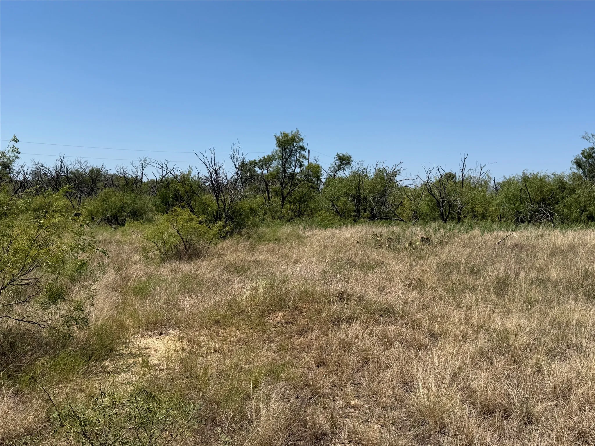 Improved Land For Sale in Eastland County , 501 County Road 376, Cisco, Texas 76437, 0, 0, Garage spaces, 0 Sqft, built in 0, mls#21361226, Real Estate Agent in Cisco, Homes For Sale in Eastland county, Homes For Sale in Cisco, Realtor in Cisco Texas, Real Estate Brokerage Independent Realty Texas, Luminita Cordes Realtor