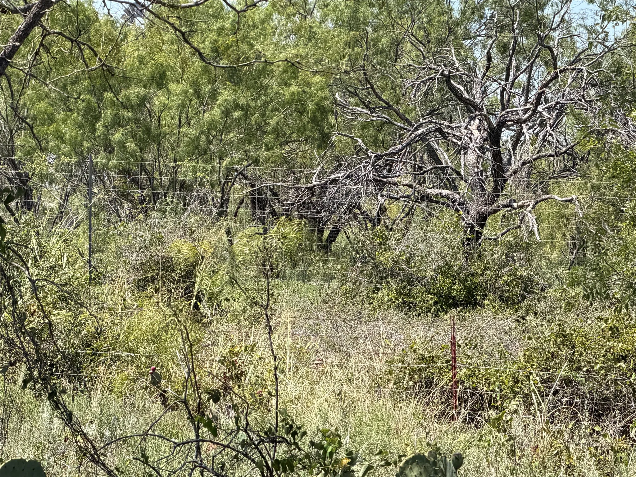 Improved Land For Sale in Eastland County , 501 County Road 376, Cisco, Texas 76437, 0, 0, Garage spaces, 0 Sqft, built in 0, mls#21361226, Real Estate Agent in Cisco, Homes For Sale in Eastland county, Homes For Sale in Cisco, Realtor in Cisco Texas, Real Estate Brokerage Independent Realty Texas, Luminita Cordes Realtor