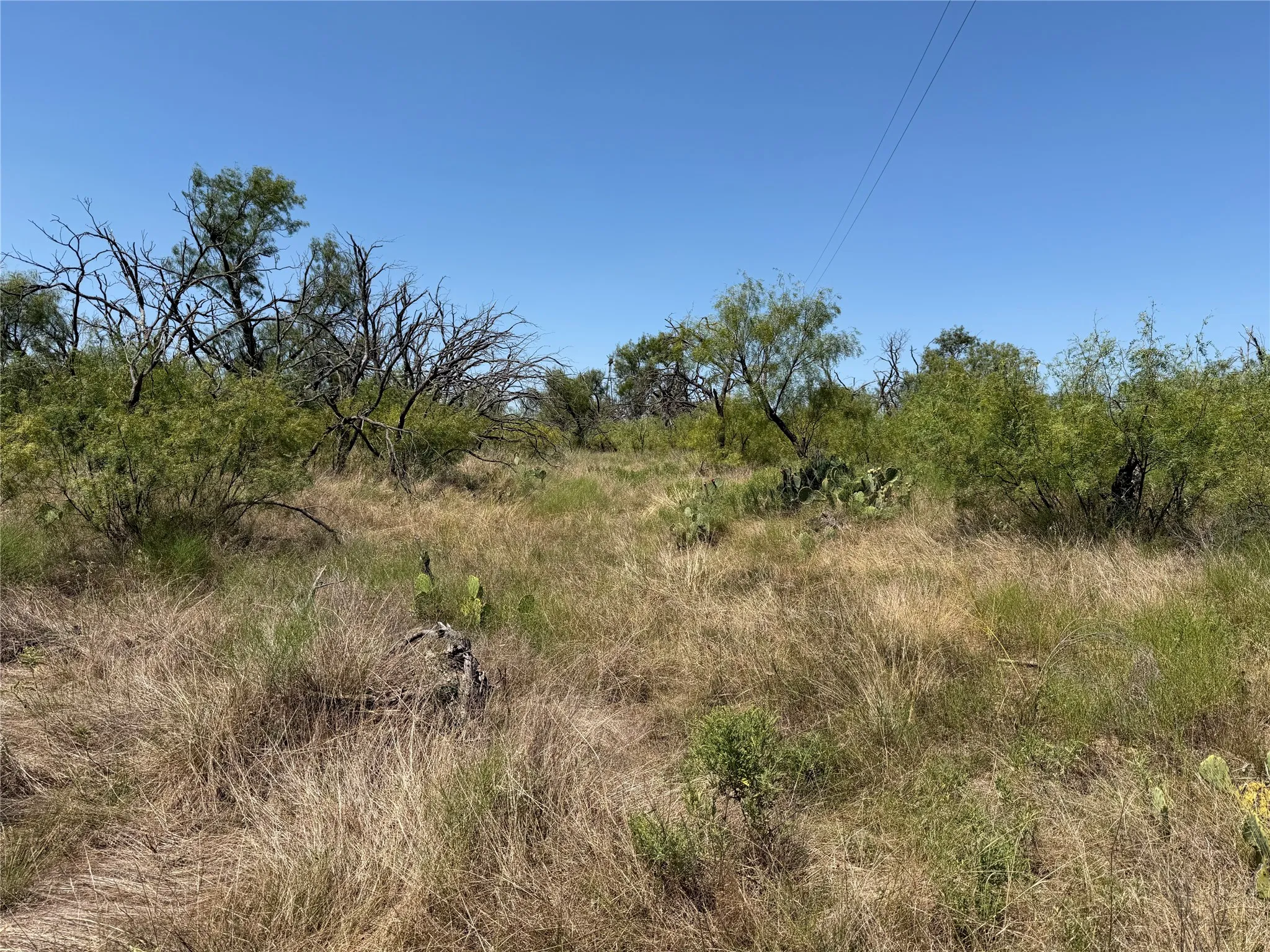 Improved Land For Sale in Eastland County , 501 County Road 376, Cisco, Texas 76437, 0, 0, Garage spaces, 0 Sqft, built in 0, mls#21361226, Real Estate Agent in Cisco, Homes For Sale in Eastland county, Homes For Sale in Cisco, Realtor in Cisco Texas, Real Estate Brokerage Independent Realty Texas, Luminita Cordes Realtor