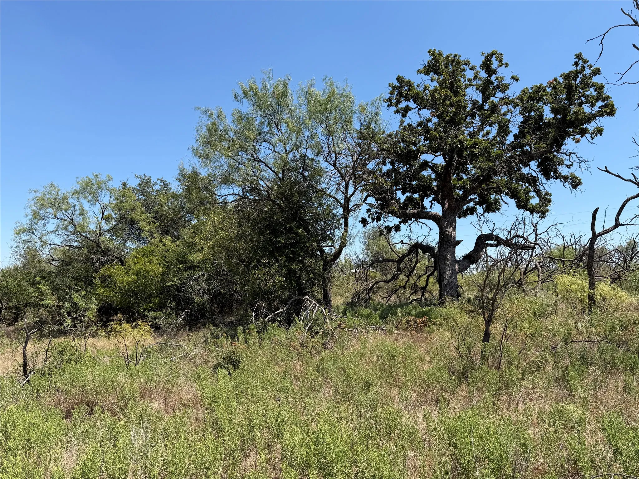 Improved Land For Sale in Eastland County , 501 County Road 376, Cisco, Texas 76437, 0, 0, Garage spaces, 0 Sqft, built in 0, mls#21361226, Real Estate Agent in Cisco, Homes For Sale in Eastland county, Homes For Sale in Cisco, Realtor in Cisco Texas, Real Estate Brokerage Independent Realty Texas, Luminita Cordes Realtor