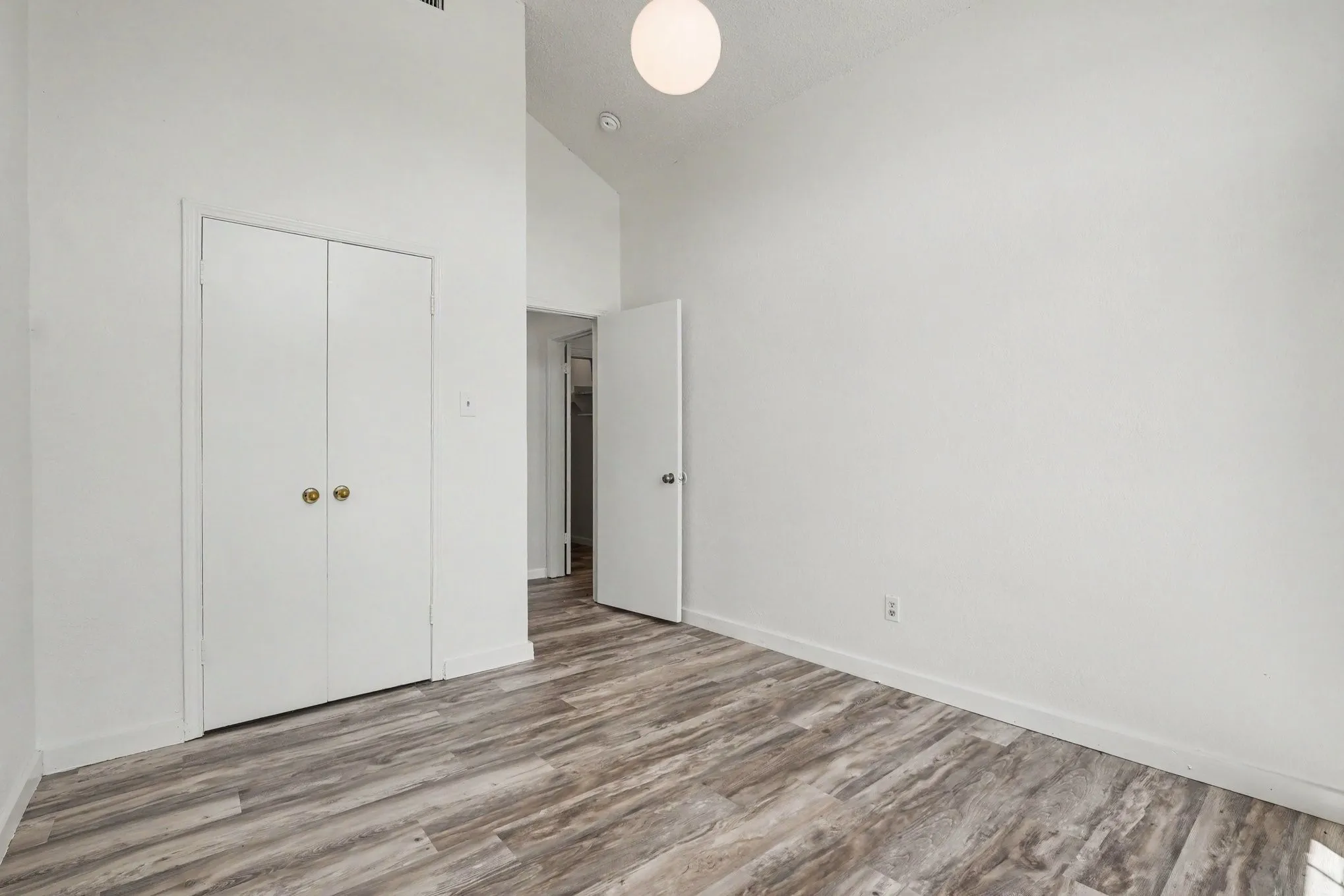 Wood-finish flooring, vaulted ceiling, white walls, double-door closet