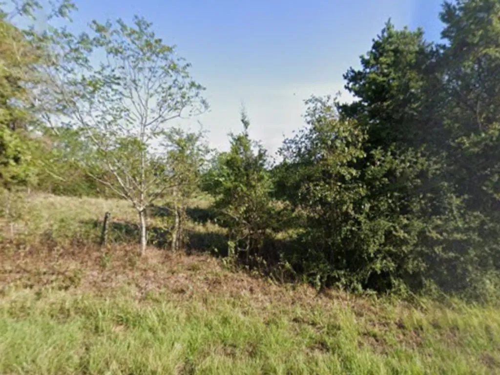 Unimproved Land For Sale in Panola County , 0 County Road 152, Carthage, Texas 75633, 0, 0, Garage spaces, 0 Sqft, built in 0, mls#21362106, Real Estate Agent in Carthage, Homes For Sale in Panola county, Homes For Sale in Carthage, Realtor in Carthage Texas, Real Estate Brokerage Independent Realty Texas, Luminita Cordes Realtor