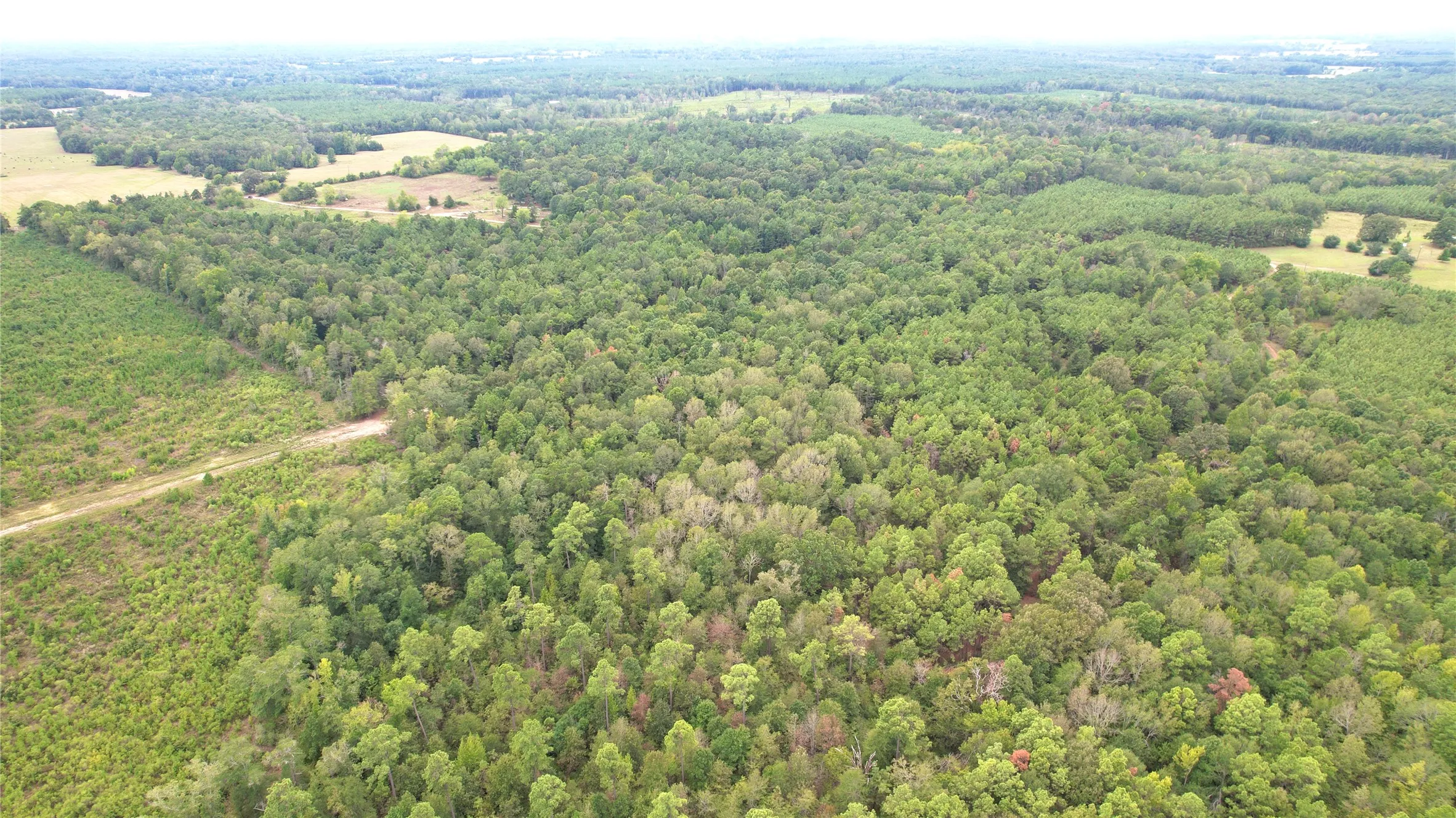 Unimproved Land For Sale in Panola County , 0 County Road 152, Carthage, Texas 75633, 0, 0, Garage spaces, 0 Sqft, built in 0, mls#21362106, Real Estate Agent in Carthage, Homes For Sale in Panola county, Homes For Sale in Carthage, Realtor in Carthage Texas, Real Estate Brokerage Independent Realty Texas, Luminita Cordes Realtor