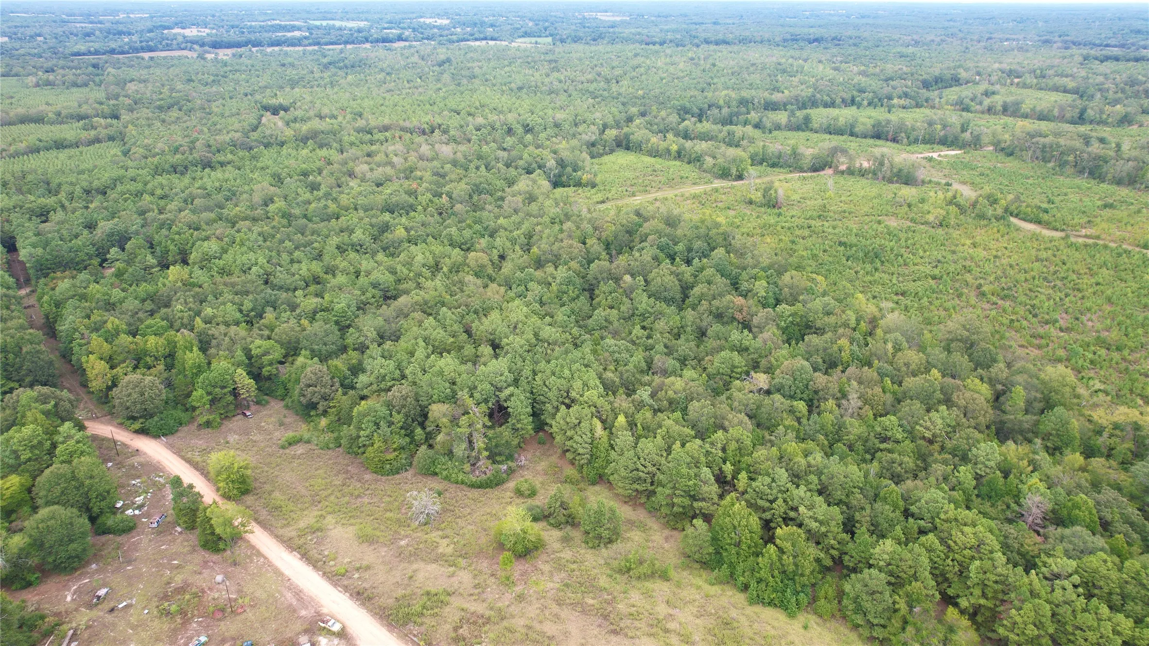 Unimproved Land For Sale in Panola County , 0 County Road 152, Carthage, Texas 75633, 0, 0, Garage spaces, 0 Sqft, built in 0, mls#21362106, Real Estate Agent in Carthage, Homes For Sale in Panola county, Homes For Sale in Carthage, Realtor in Carthage Texas, Real Estate Brokerage Independent Realty Texas, Luminita Cordes Realtor