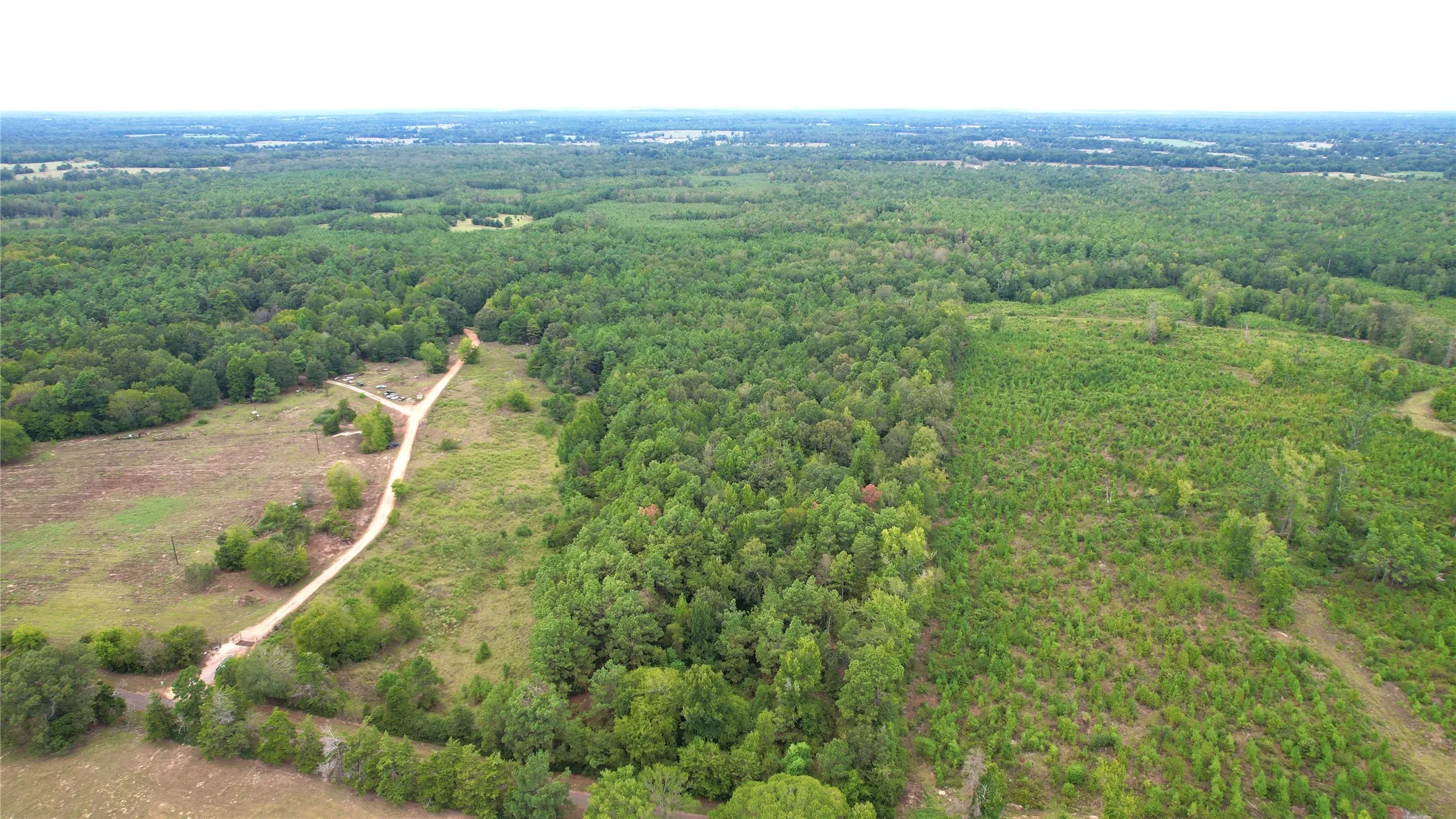 Unimproved Land For Sale in Panola County , 0 County Road 152, Carthage, Texas 75633, 0, 0, Garage spaces, 0 Sqft, built in 0, mls#21362106, Real Estate Agent in Carthage, Homes For Sale in Panola county, Homes For Sale in Carthage, Realtor in Carthage Texas, Real Estate Brokerage Independent Realty Texas, Luminita Cordes Realtor