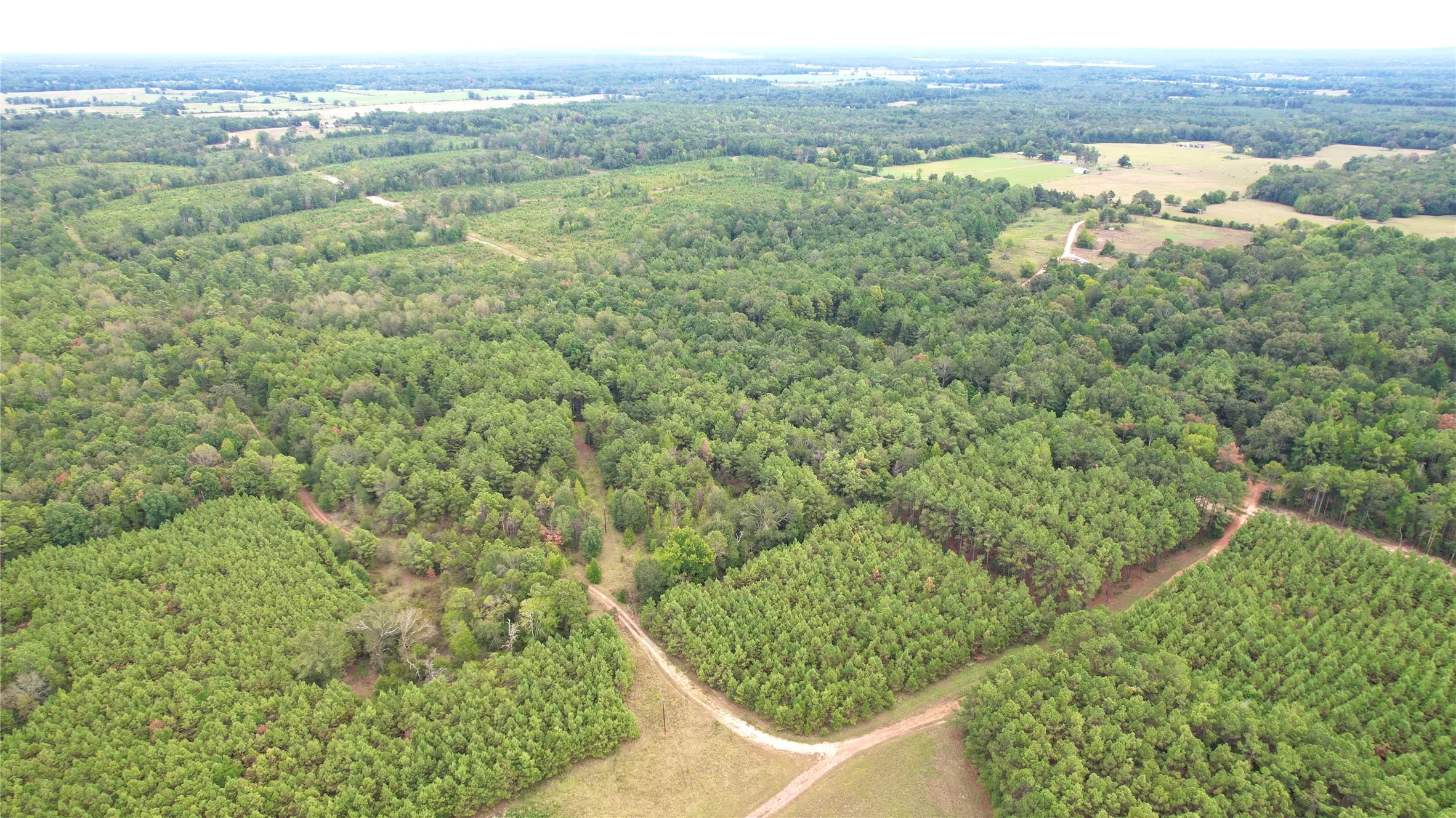 Unimproved Land For Sale in Panola County , 0 County Road 152, Carthage, Texas 75633, 0, 0, Garage spaces, 0 Sqft, built in 0, mls#21362106, Real Estate Agent in Carthage, Homes For Sale in Panola county, Homes For Sale in Carthage, Realtor in Carthage Texas, Real Estate Brokerage Independent Realty Texas, Luminita Cordes Realtor
