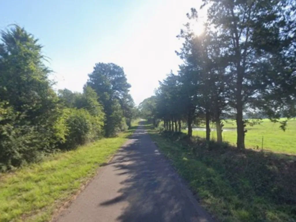 Unimproved Land For Sale in Panola County , 0 County Road 152, Carthage, Texas 75633, 0, 0, Garage spaces, 0 Sqft, built in 0, mls#21362106, Real Estate Agent in Carthage, Homes For Sale in Panola county, Homes For Sale in Carthage, Realtor in Carthage Texas, Real Estate Brokerage Independent Realty Texas, Luminita Cordes Realtor