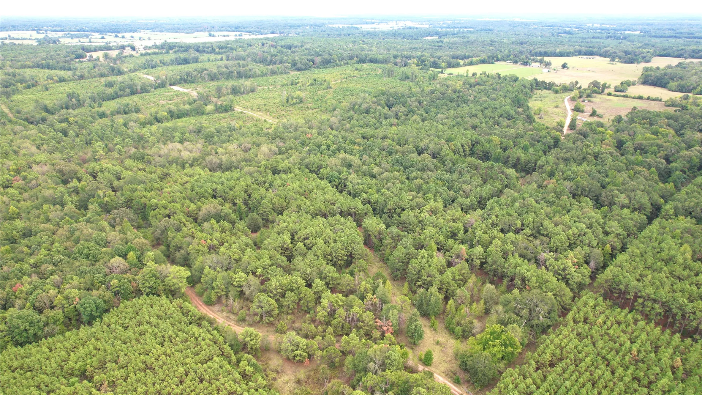 Unimproved Land For Sale in Panola County , 0 County Road 152, Carthage, Texas 75633, 0, 0, Garage spaces, 0 Sqft, built in 0, mls#21362106, Real Estate Agent in Carthage, Homes For Sale in Panola county, Homes For Sale in Carthage, Realtor in Carthage Texas, Real Estate Brokerage Independent Realty Texas, Luminita Cordes Realtor
