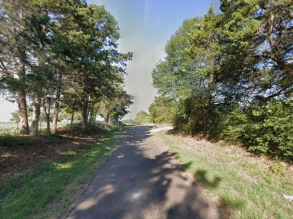 Unimproved Land For Sale in Panola County , 0 County Road 152, Carthage, Texas 75633, 0, 0, Garage spaces, 0 Sqft, built in 0, mls#21362106, Real Estate Agent in Carthage, Homes For Sale in Panola county, Homes For Sale in Carthage, Realtor in Carthage Texas, Real Estate Brokerage Independent Realty Texas, Luminita Cordes Realtor