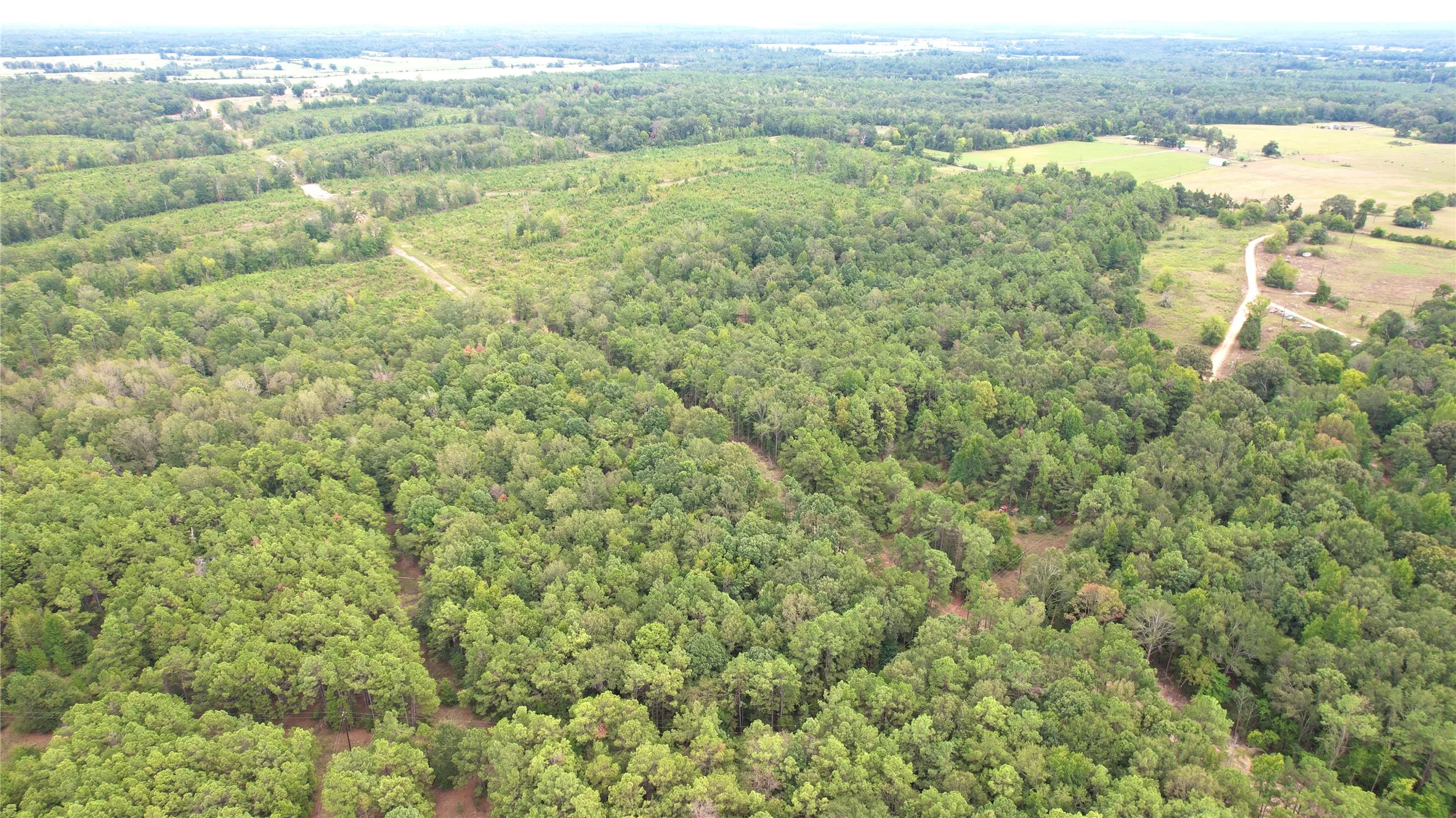 Unimproved Land For Sale in Panola County , 0 County Road 152, Carthage, Texas 75633, 0, 0, Garage spaces, 0 Sqft, built in 0, mls#21362106, Real Estate Agent in Carthage, Homes For Sale in Panola county, Homes For Sale in Carthage, Realtor in Carthage Texas, Real Estate Brokerage Independent Realty Texas, Luminita Cordes Realtor