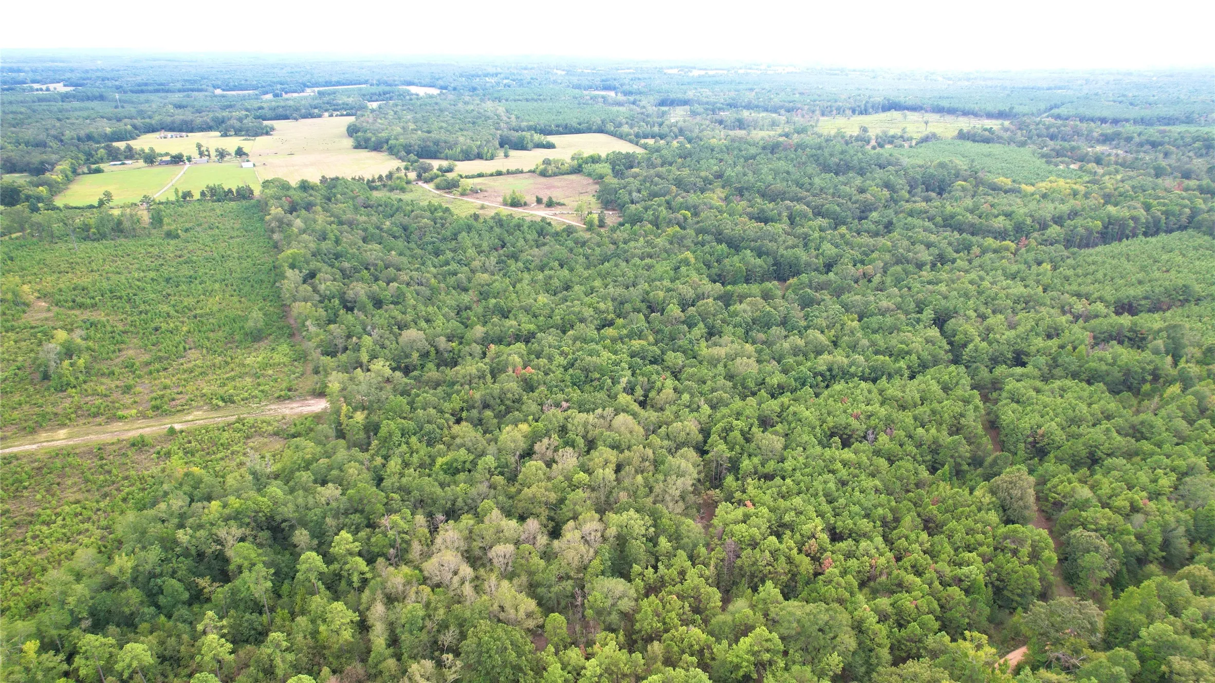 Unimproved Land For Sale in Panola County , 0 County Road 152, Carthage, Texas 75633, 0, 0, Garage spaces, 0 Sqft, built in 0, mls#21362106, Real Estate Agent in Carthage, Homes For Sale in Panola county, Homes For Sale in Carthage, Realtor in Carthage Texas, Real Estate Brokerage Independent Realty Texas, Luminita Cordes Realtor