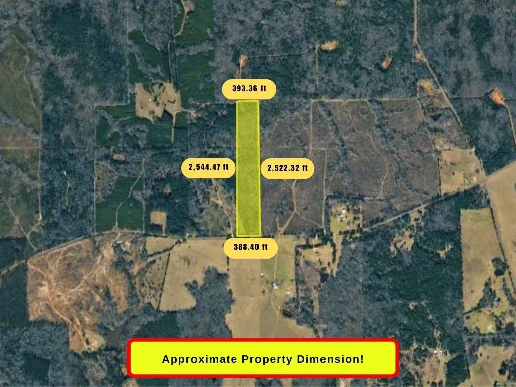 Unimproved Land For Sale in Panola County , 0 County Road 152, Carthage, Texas 75633, 0, 0, Garage spaces, 0 Sqft, built in 0, mls#21362106, Real Estate Agent in Carthage, Homes For Sale in Panola county, Homes For Sale in Carthage, Realtor in Carthage Texas, Real Estate Brokerage Independent Realty Texas, Luminita Cordes Realtor