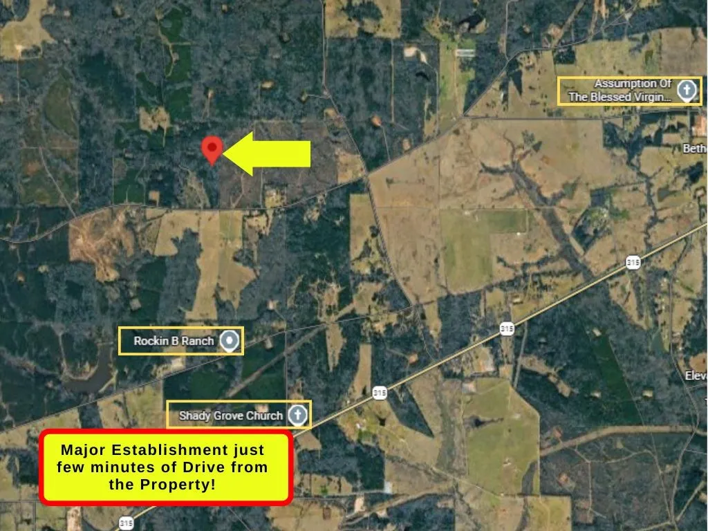 Unimproved Land For Sale in Panola County , 0 County Road 152, Carthage, Texas 75633, 0, 0, Garage spaces, 0 Sqft, built in 0, mls#21362106, Real Estate Agent in Carthage, Homes For Sale in Panola county, Homes For Sale in Carthage, Realtor in Carthage Texas, Real Estate Brokerage Independent Realty Texas, Luminita Cordes Realtor