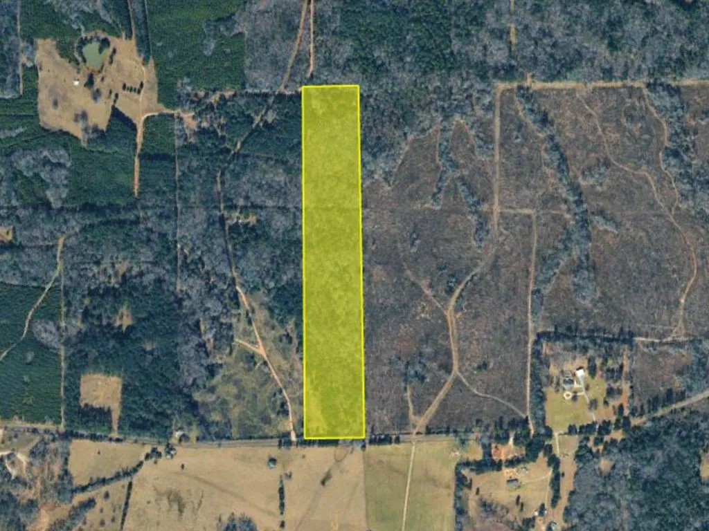 Unimproved Land For Sale in Panola County , 0 County Road 152, Carthage, Texas 75633, 0, 0, Garage spaces, 0 Sqft, built in 0, mls#21362106, Real Estate Agent in Carthage, Homes For Sale in Panola county, Homes For Sale in Carthage, Realtor in Carthage Texas, Real Estate Brokerage Independent Realty Texas, Luminita Cordes Realtor