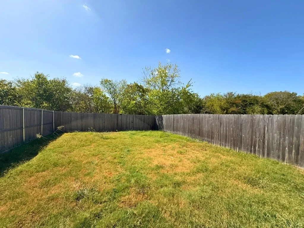 Fenced backyard