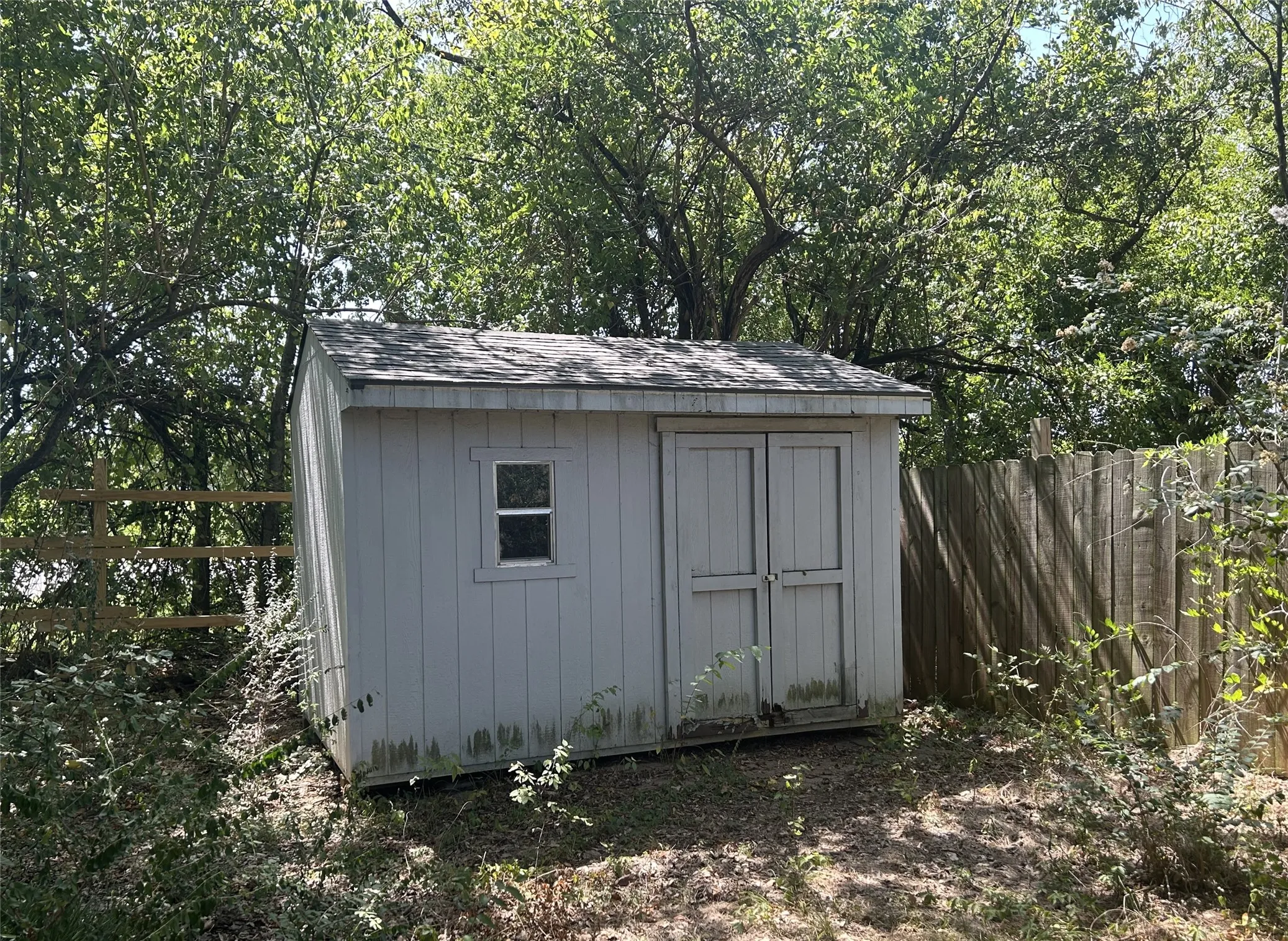 Shed in the back yard