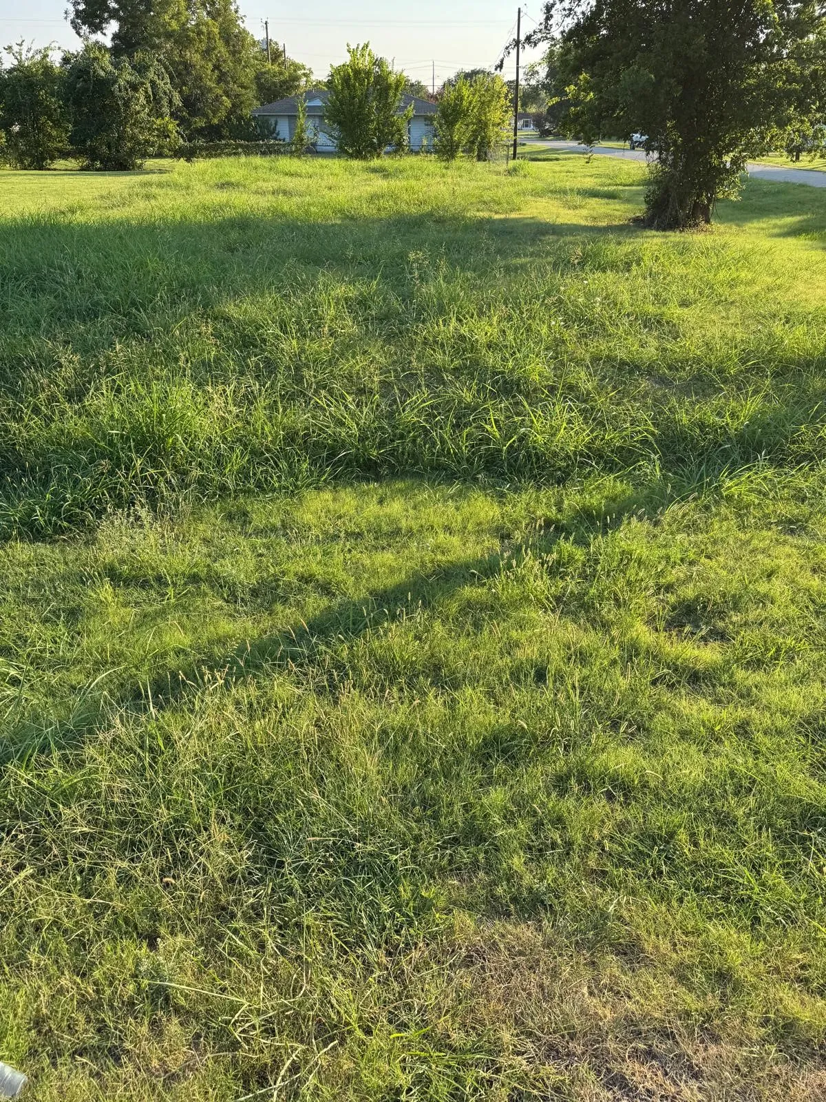 Unimproved Land For Sale in Kaufman County , 600 E Buffalo Street, Forney, Texas 75126, 0, 0, Garage spaces, 0 Sqft, built in 0, mls#21353945, Real Estate Agent in Forney, Homes For Sale in Kaufman county, Homes For Sale in Forney, Realtor in Forney Texas, Real Estate Brokerage Independent Realty Texas, Luminita Cordes Realtor