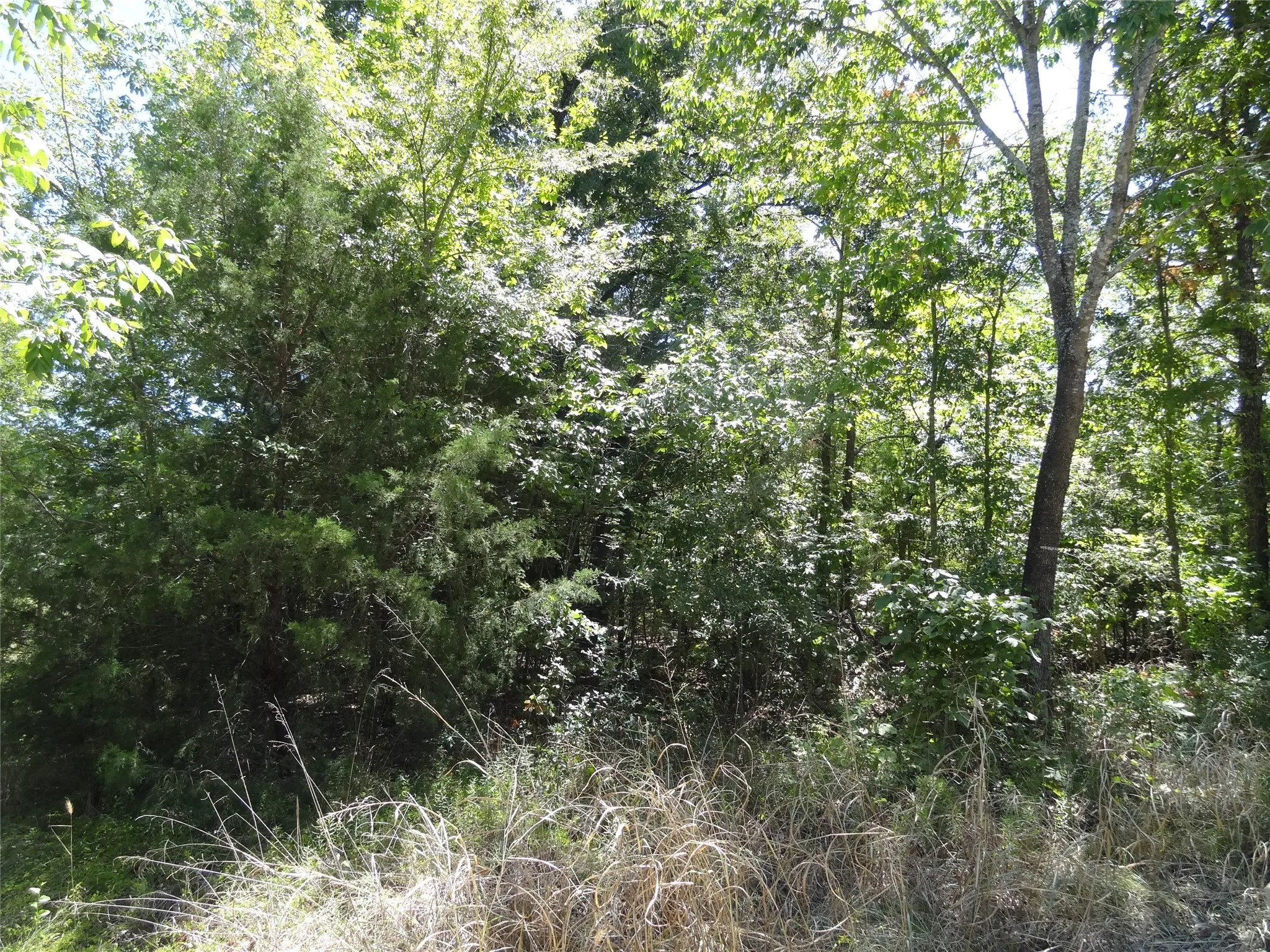 Unimproved Land For Sale in Henderson County , Lot 113 Westwood Drive, Trinidad, Texas 75163, 0, 0, Garage spaces, 0 Sqft, built in 0, mls#21362148, Real Estate Agent in Trinidad, Homes For Sale in Henderson county, Homes For Sale in Trinidad, Realtor in Trinidad Texas, Real Estate Brokerage Independent Realty Texas, Luminita Cordes Realtor