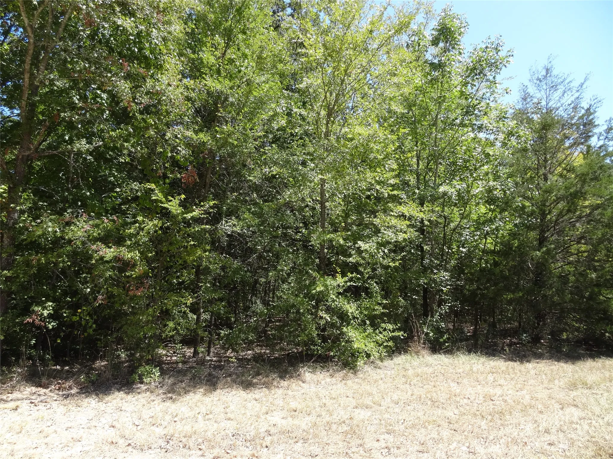 Unimproved Land For Sale in Henderson County , Lot 113 Westwood Drive, Trinidad, Texas 75163, 0, 0, Garage spaces, 0 Sqft, built in 0, mls#21362148, Real Estate Agent in Trinidad, Homes For Sale in Henderson county, Homes For Sale in Trinidad, Realtor in Trinidad Texas, Real Estate Brokerage Independent Realty Texas, Luminita Cordes Realtor