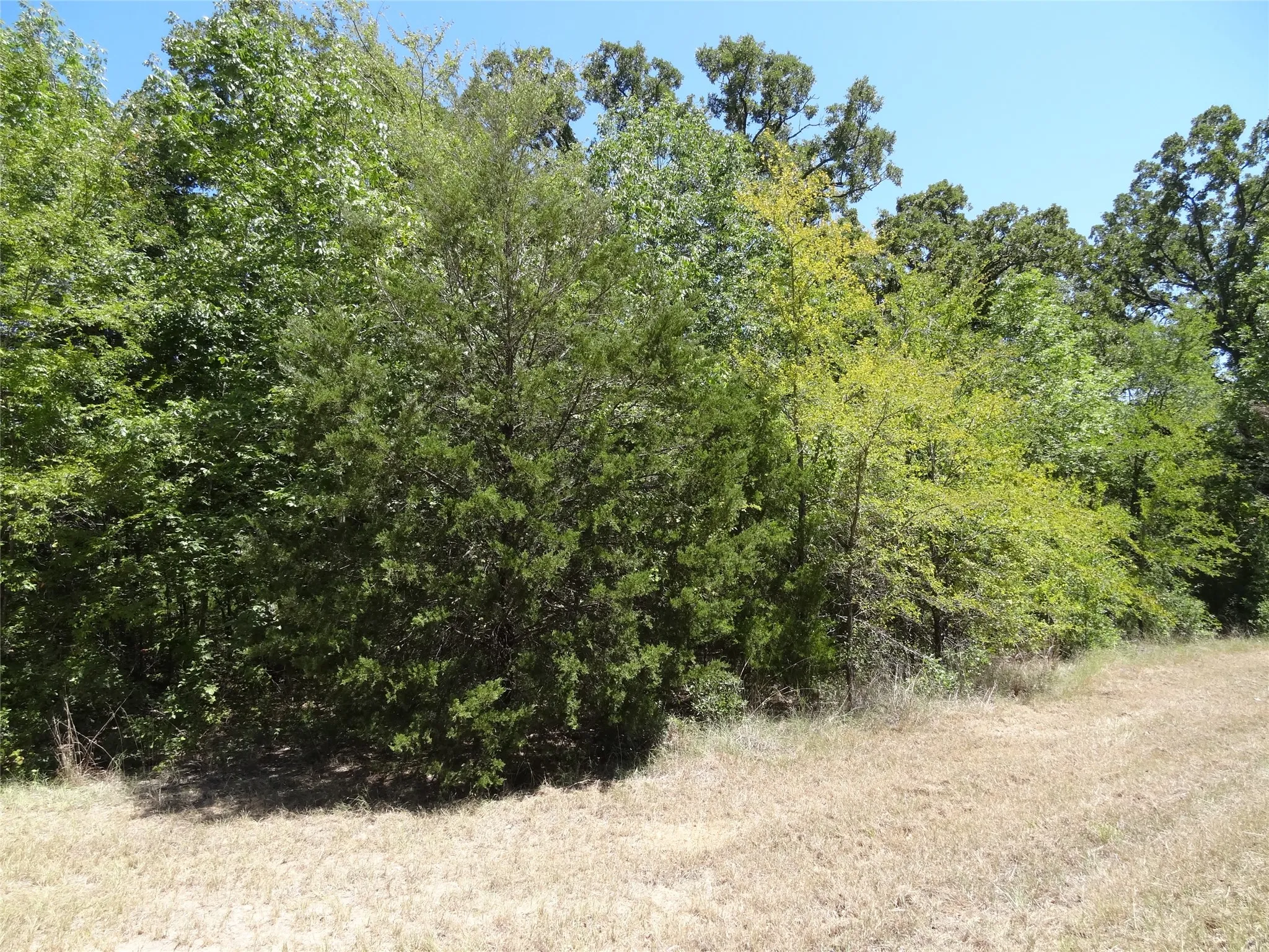 Unimproved Land For Sale in Henderson County , Lot 113 Westwood Drive, Trinidad, Texas 75163, 0, 0, Garage spaces, 0 Sqft, built in 0, mls#21362148, Real Estate Agent in Trinidad, Homes For Sale in Henderson county, Homes For Sale in Trinidad, Realtor in Trinidad Texas, Real Estate Brokerage Independent Realty Texas, Luminita Cordes Realtor