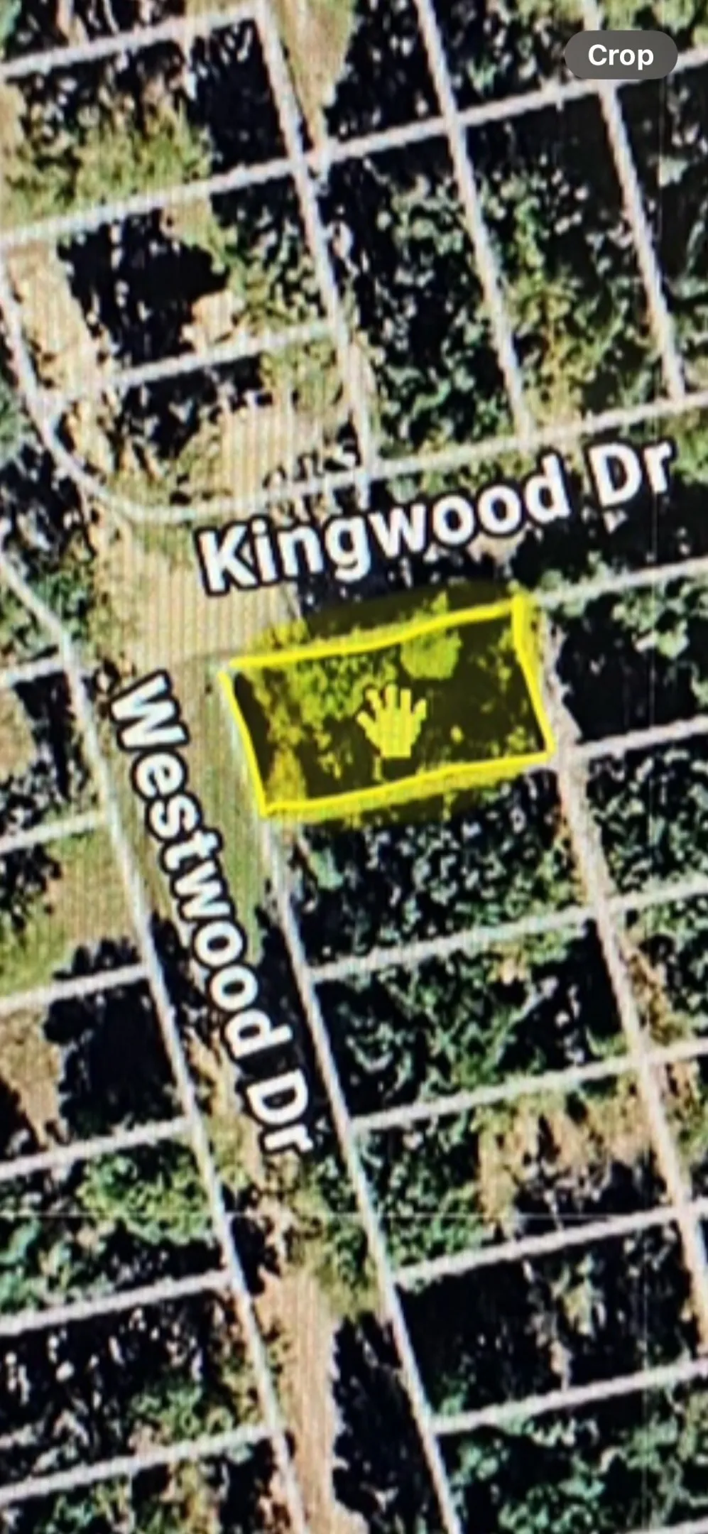 Unimproved Land For Sale in Henderson County , Lot 113 Westwood Drive, Trinidad, Texas 75163, 0, 0, Garage spaces, 0 Sqft, built in 0, mls#21362148, Real Estate Agent in Trinidad, Homes For Sale in Henderson county, Homes For Sale in Trinidad, Realtor in Trinidad Texas, Real Estate Brokerage Independent Realty Texas, Luminita Cordes Realtor