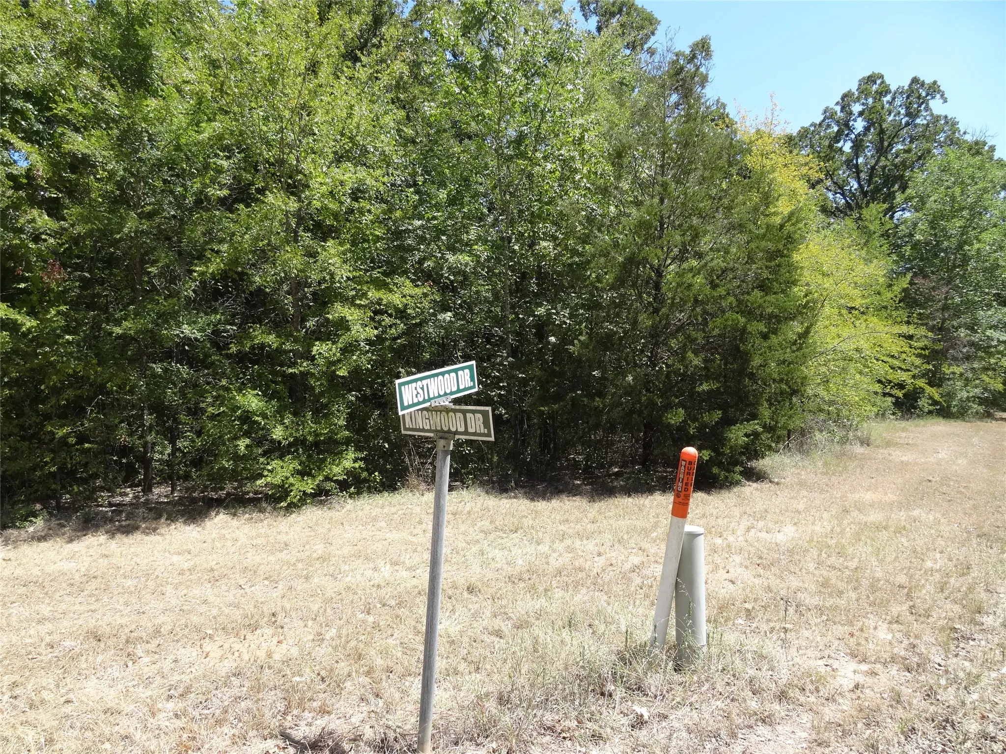 Unimproved Land For Sale in Henderson County , Lot 113 Westwood Drive, Trinidad, Texas 75163, 0, 0, Garage spaces, 0 Sqft, built in 0, mls#21362148, Real Estate Agent in Trinidad, Homes For Sale in Henderson county, Homes For Sale in Trinidad, Realtor in Trinidad Texas, Real Estate Brokerage Independent Realty Texas, Luminita Cordes Realtor