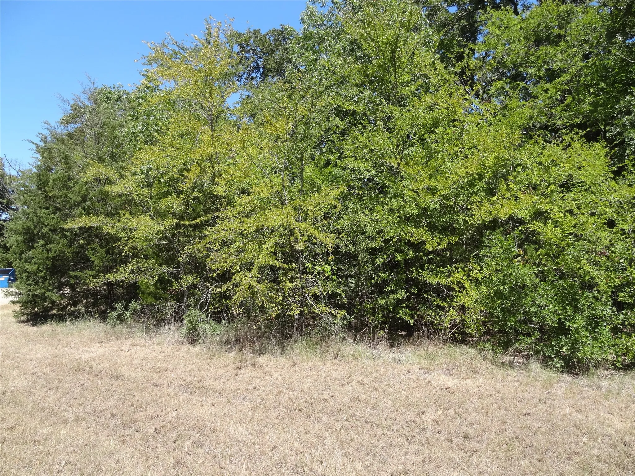 Unimproved Land For Sale in Henderson County , Lot 113 Westwood Drive, Trinidad, Texas 75163, 0, 0, Garage spaces, 0 Sqft, built in 0, mls#21362148, Real Estate Agent in Trinidad, Homes For Sale in Henderson county, Homes For Sale in Trinidad, Realtor in Trinidad Texas, Real Estate Brokerage Independent Realty Texas, Luminita Cordes Realtor