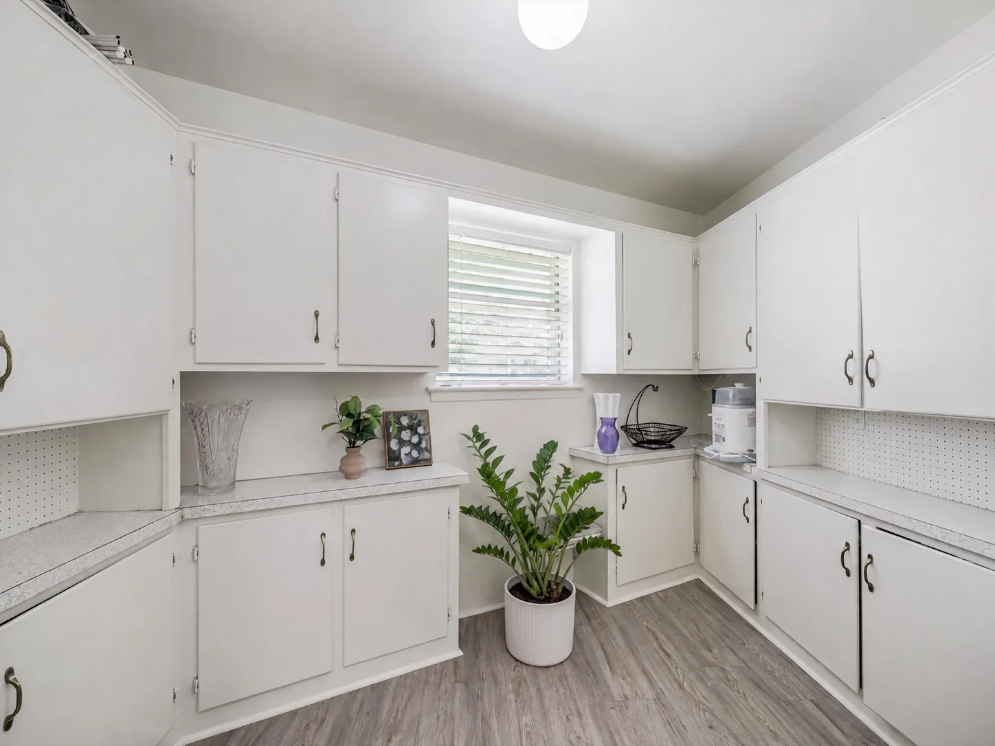 Huge Butler's Pantry