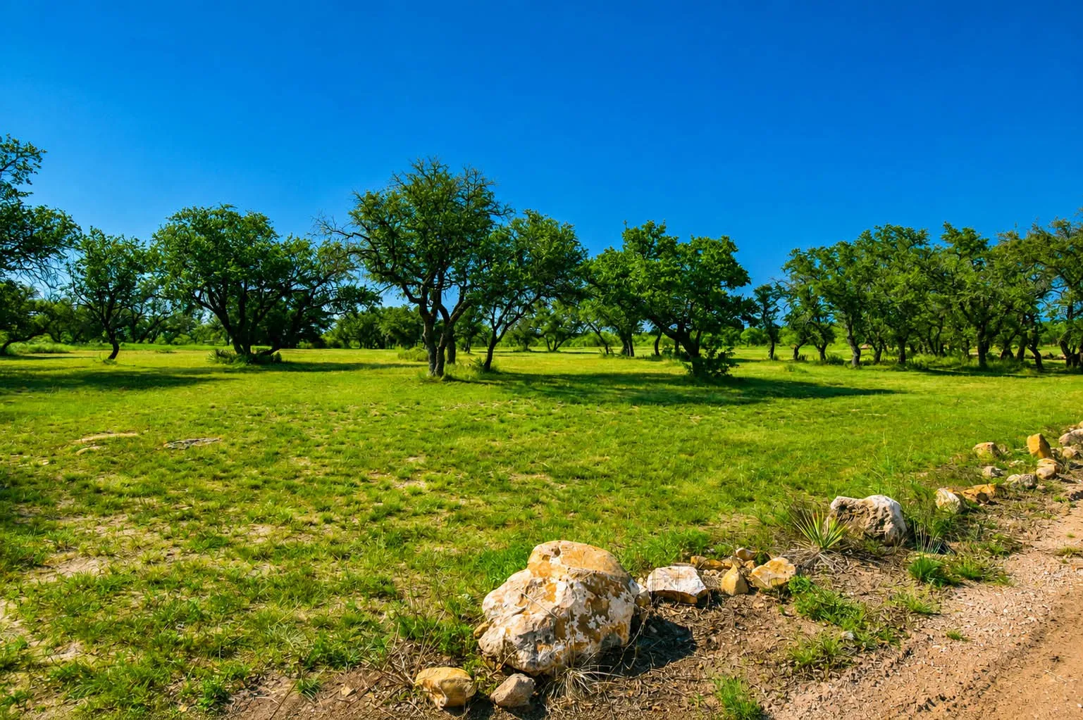 Mobile Home For Sale in Mc Culloch County , 239 County Road 160, Brady, Texas 76825, 3 Bedroom, 2 Bathroom, 2 Garage spaces, 1,326 Sqft, built in 1993, mls#21359916, Real Estate Agent in Brady, Homes For Sale in Mc Culloch county, Homes For Sale in Brady, Realtor in Brady Texas, Real Estate Brokerage Independent Realty Texas, Luminita Cordes Realtor